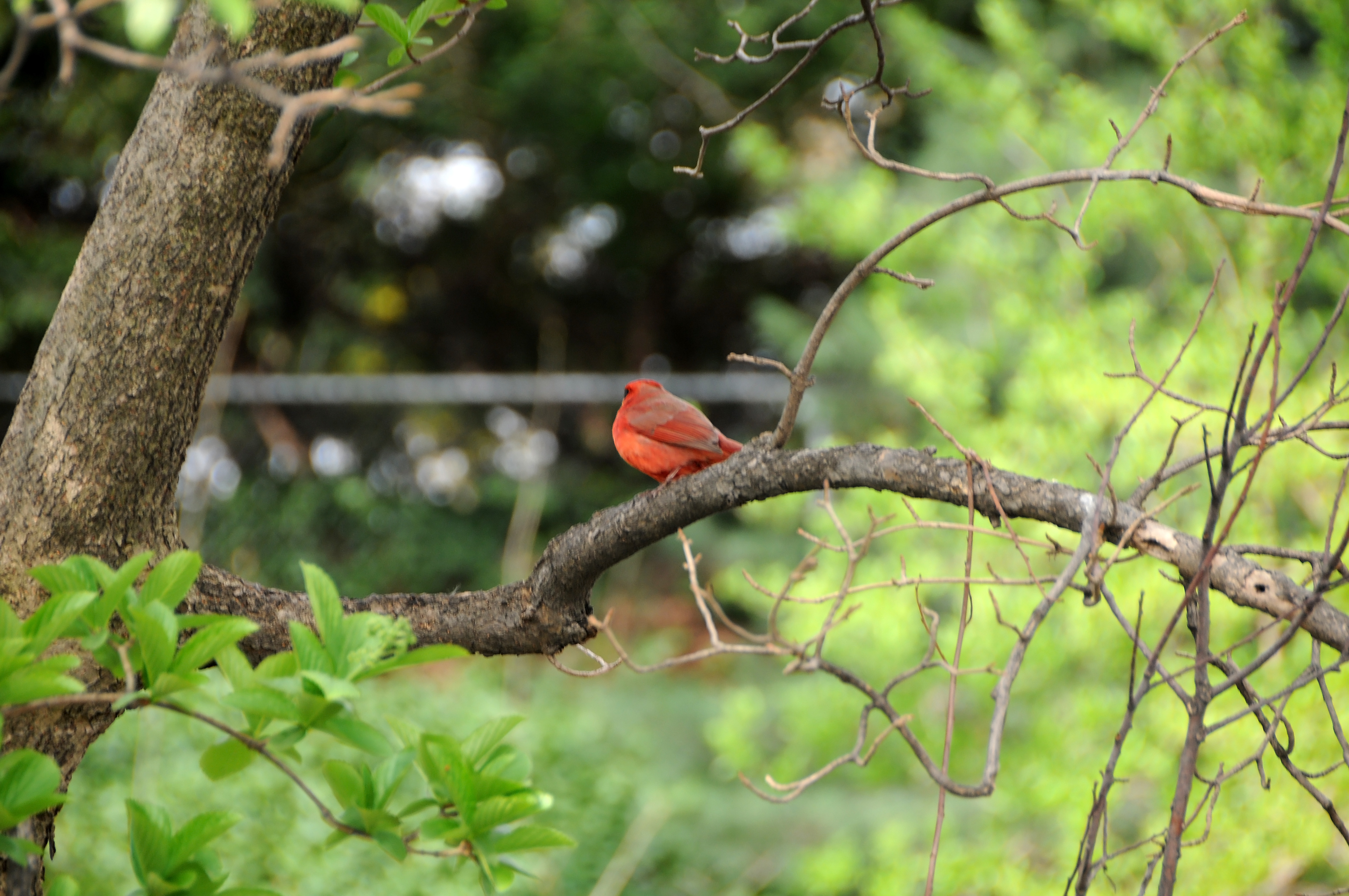 DSC_3800.JPG