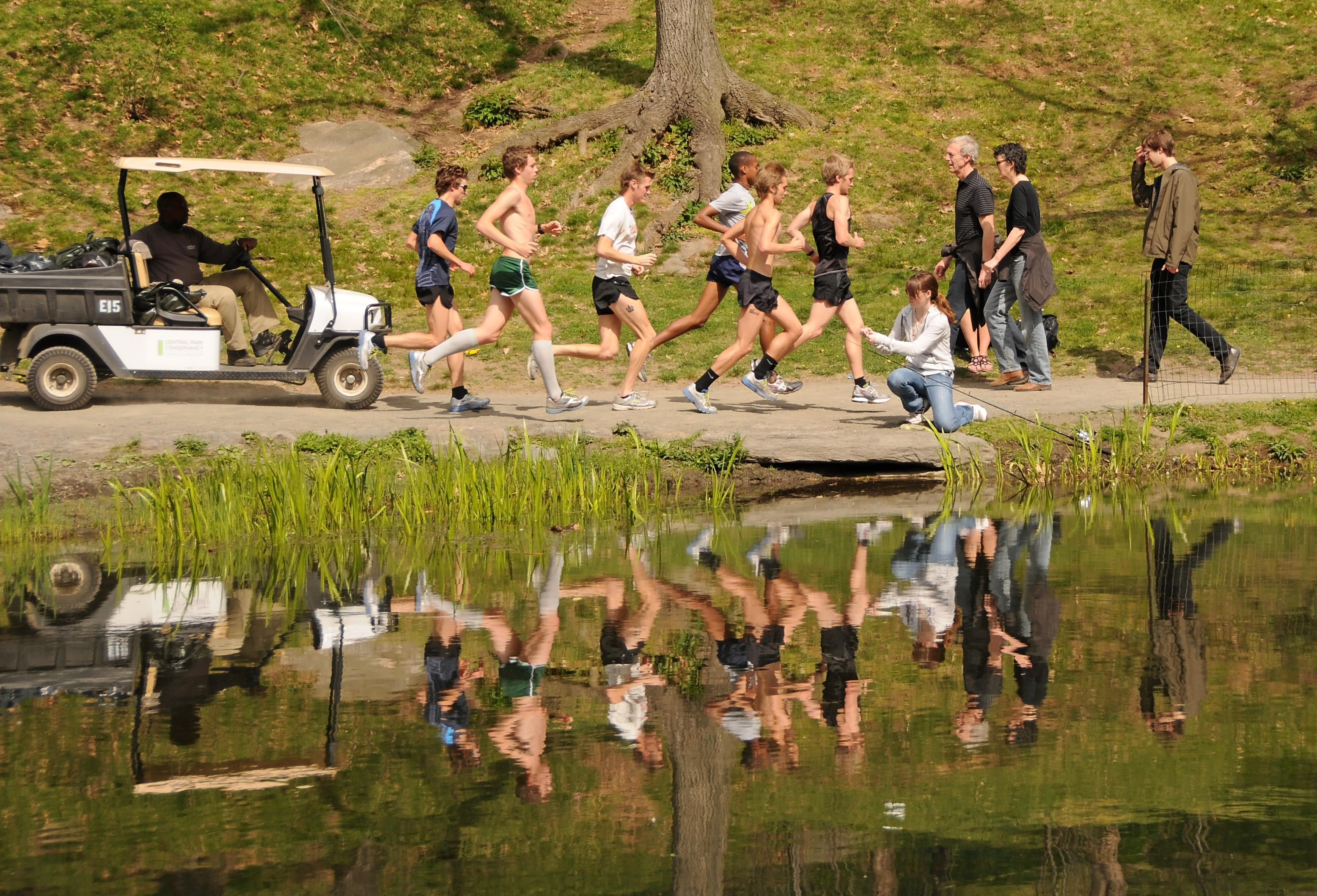 Heavy Traffic on the Harlem Meer Shore