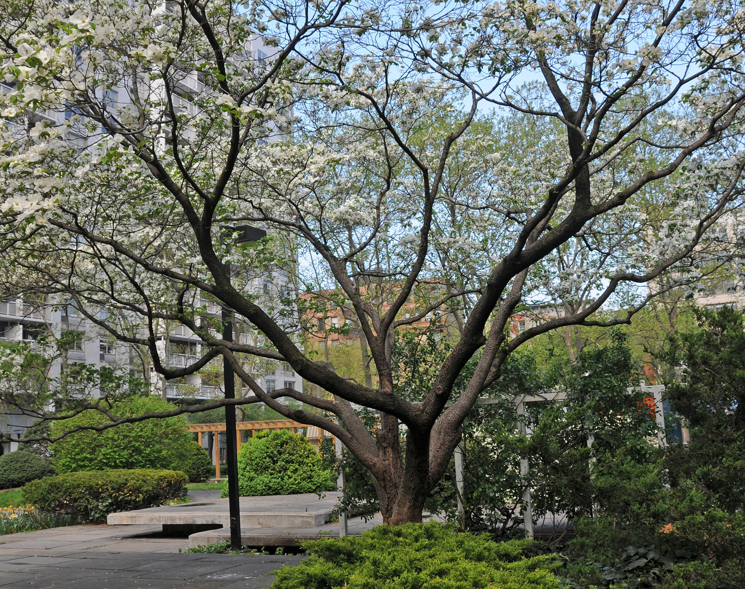 Condemned by President Sextons (De)Construction Plan at NYU
