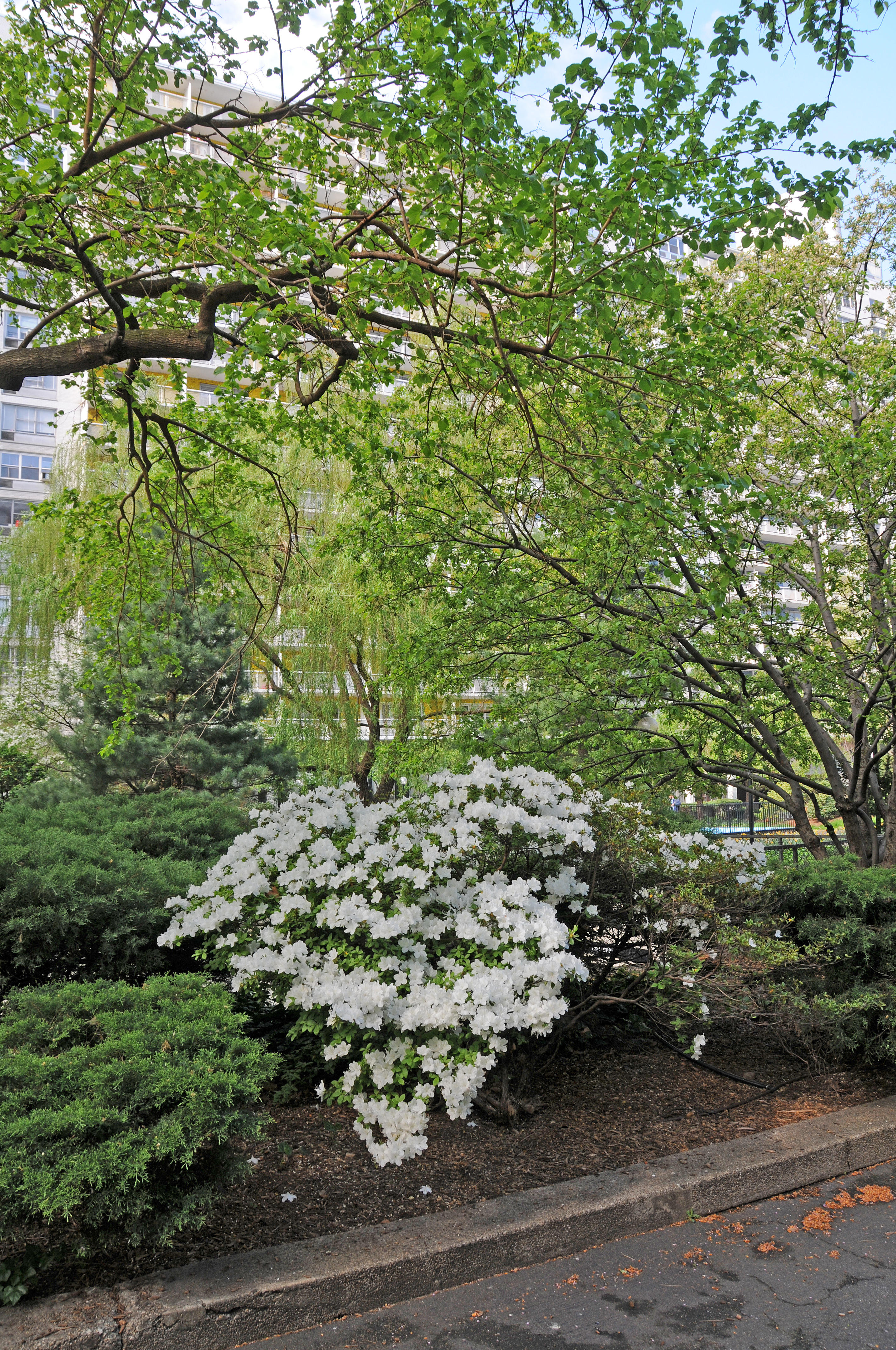 Condemned by President Sextons (De)Construction Plan at NYU