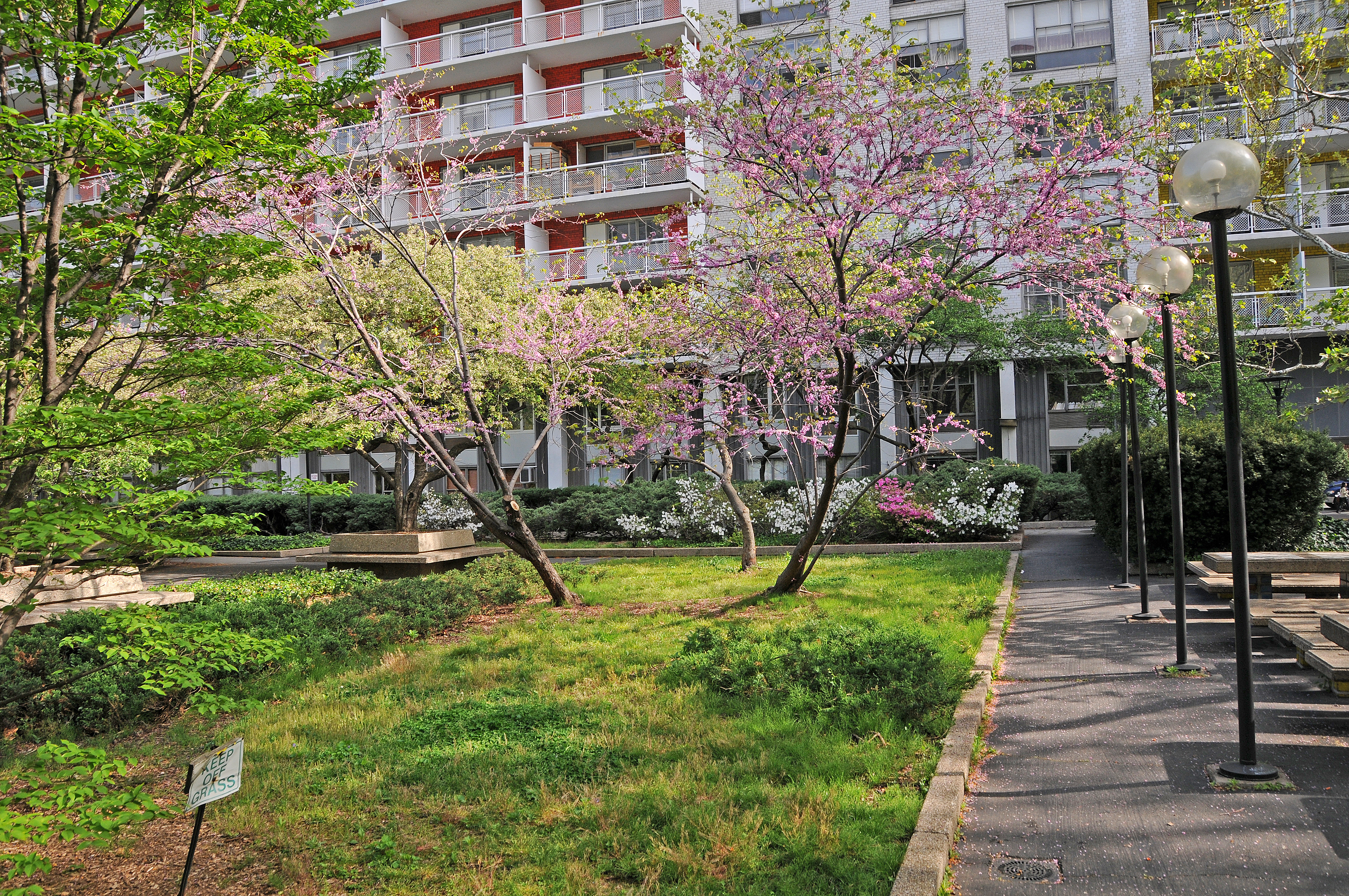 Condemned by President Sextons (De)Construction Plan at NYU
