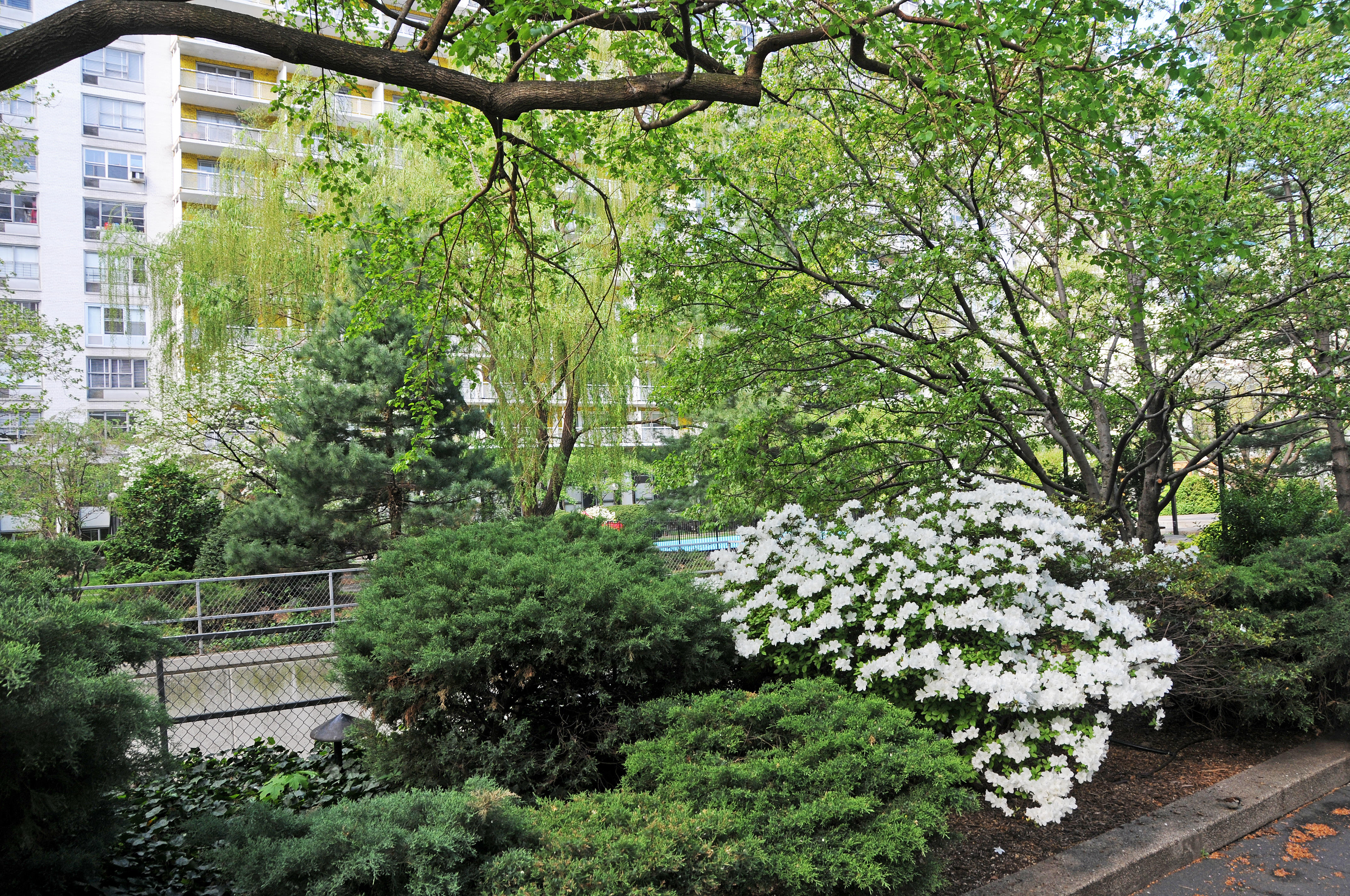 Condemned by President Sextons (De)Construction Plan at NYU