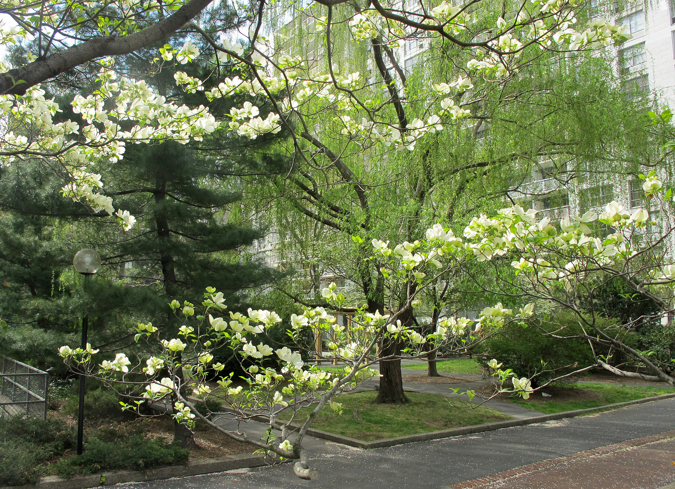 Condemned by President Sextons (De)Construction Plan at NYU