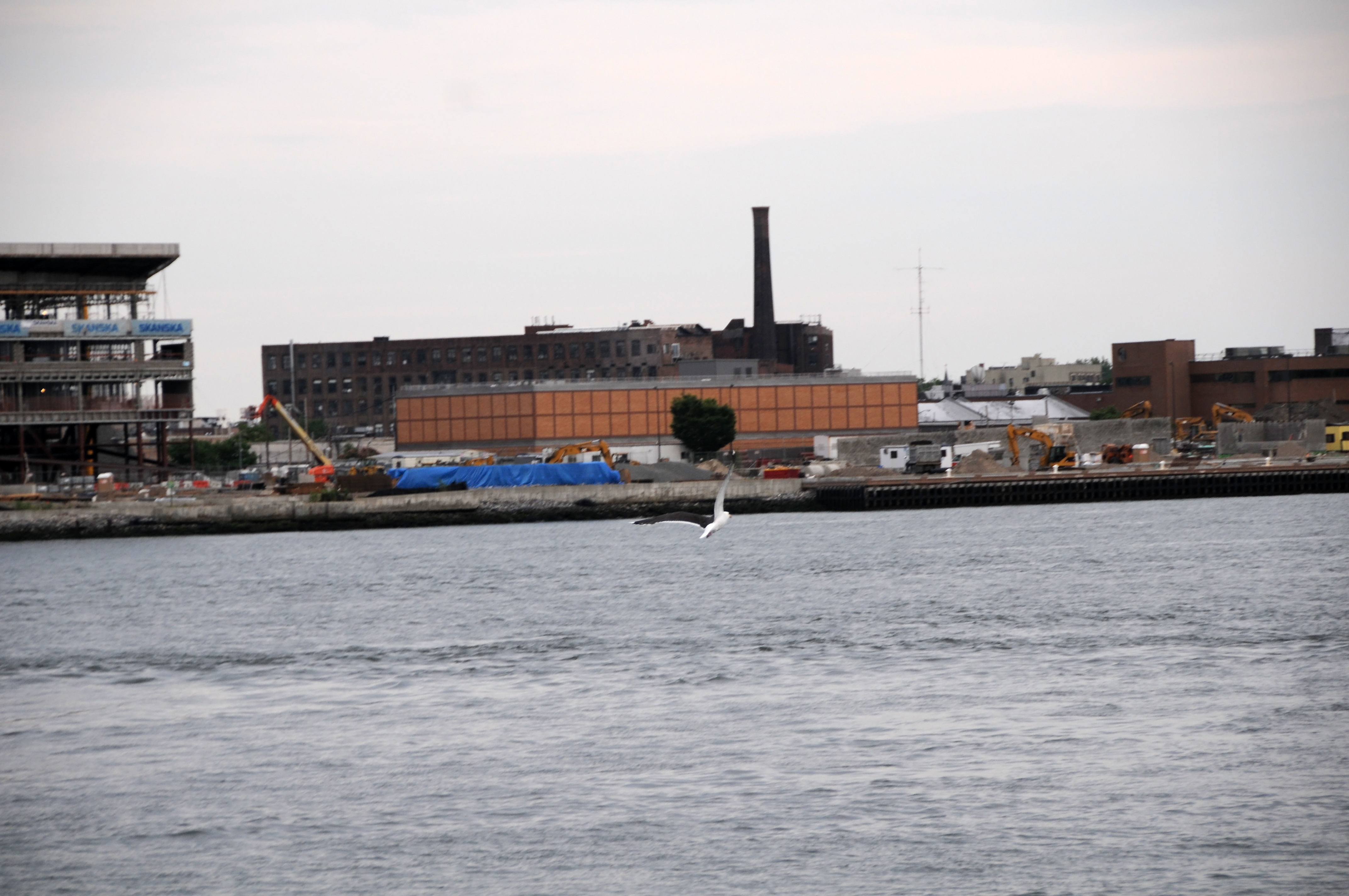 DSC_7471.JPG