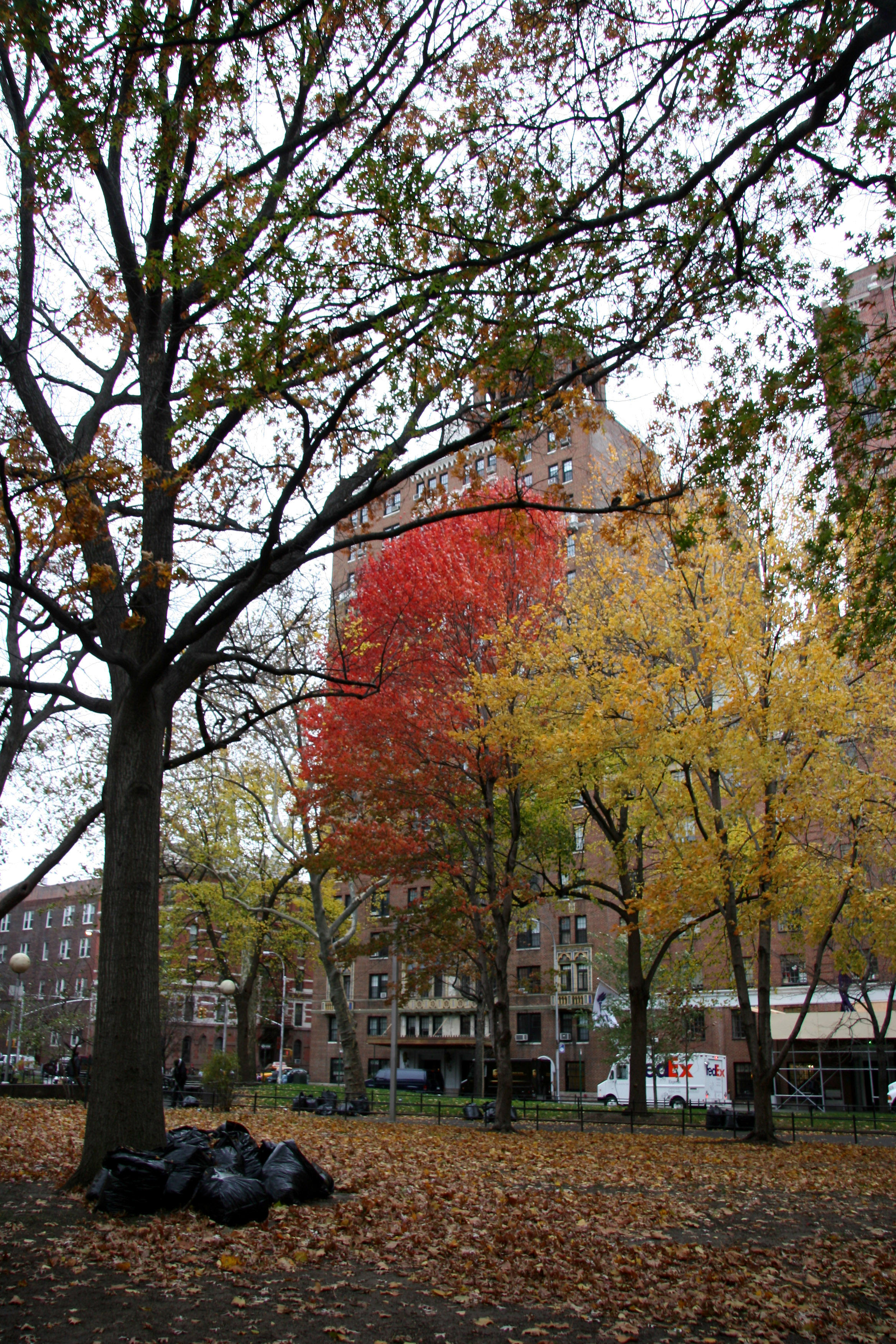 Park View - Washington Square West