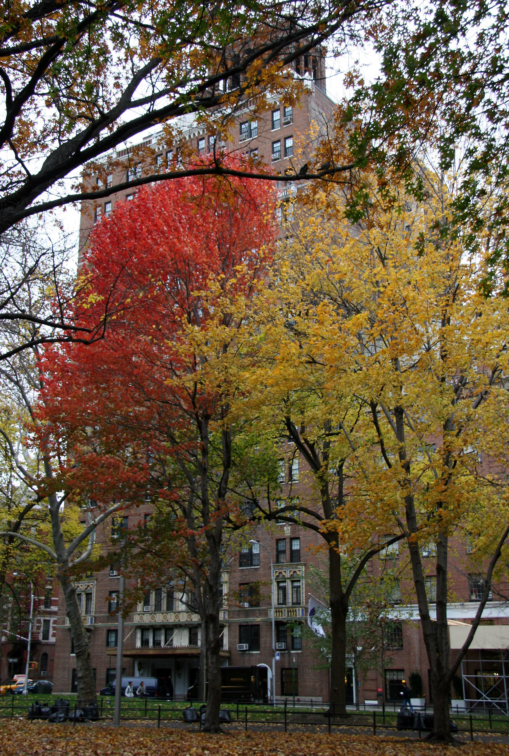 Park View - Washington Square West
