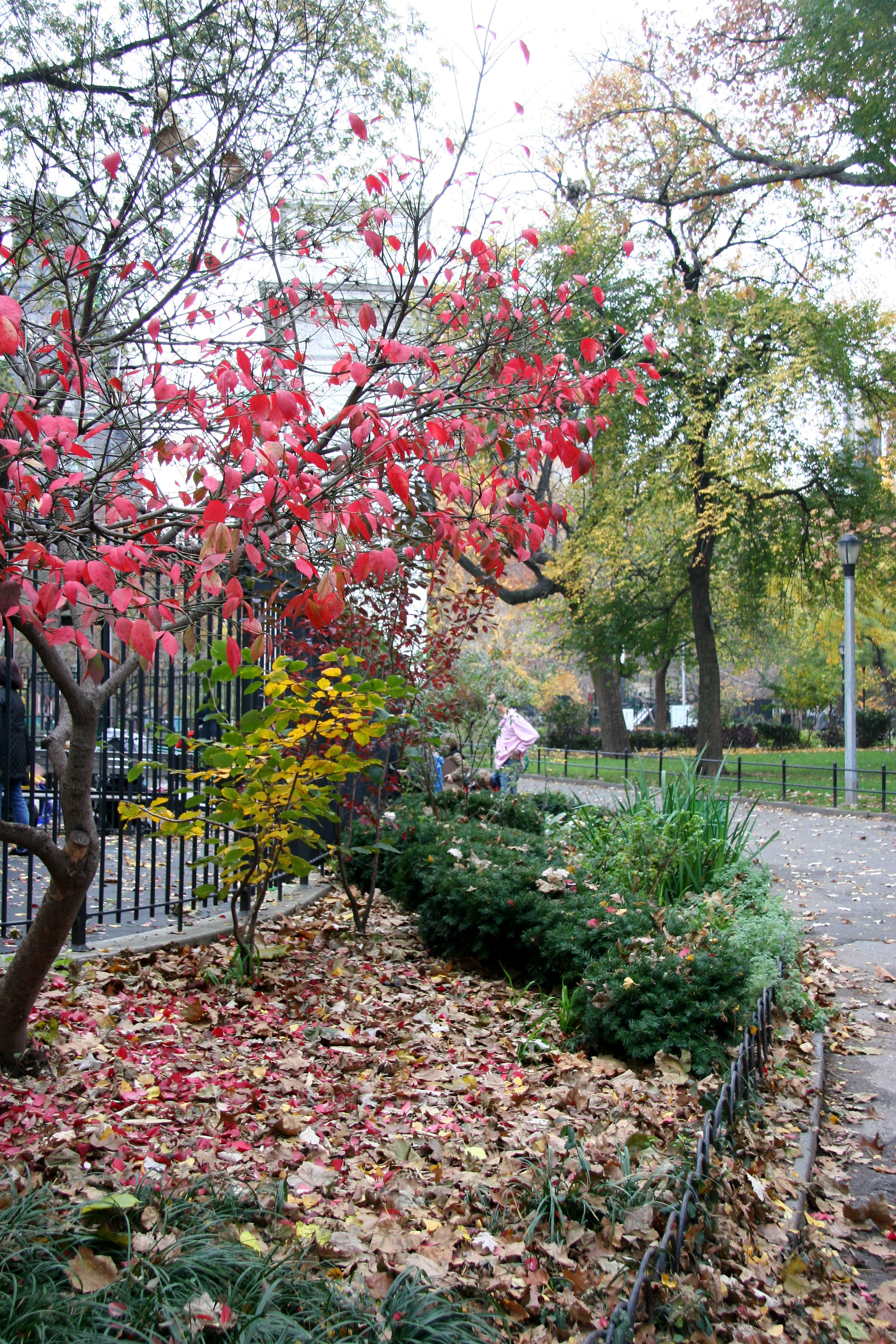 Park View