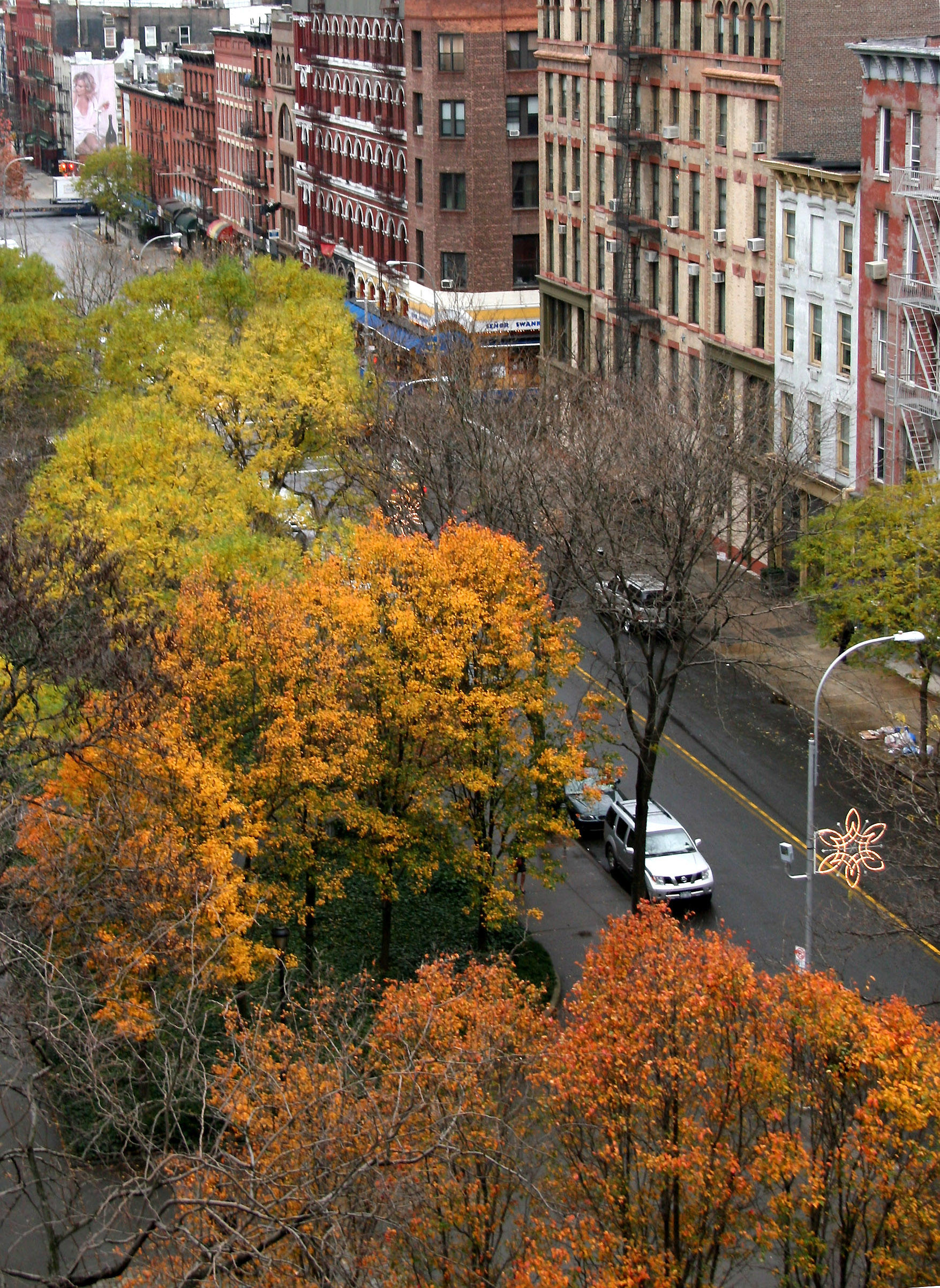 Late Fall - Pear & Scholar Tree Foliage