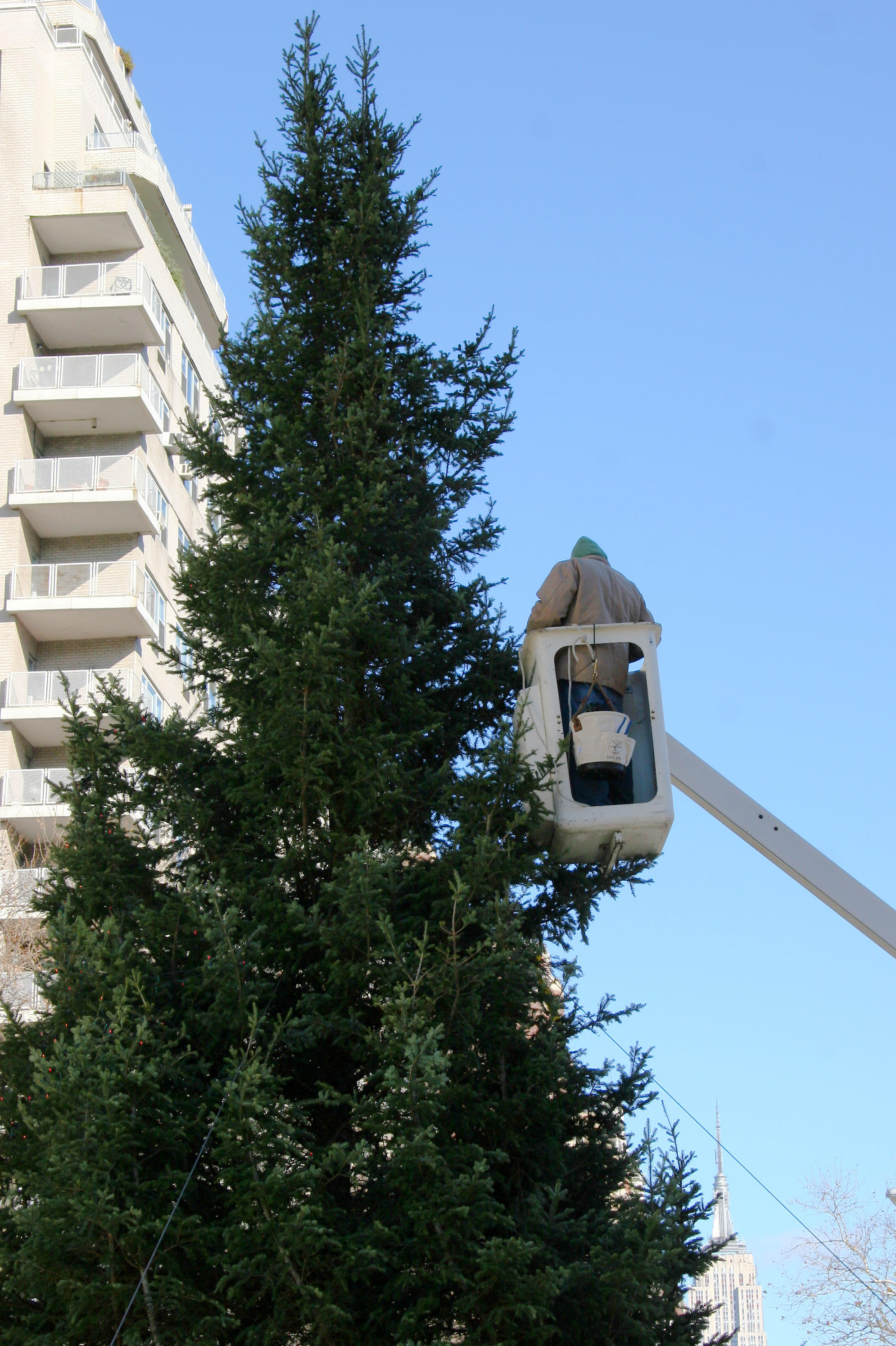 Trimming the Winter Holidays Tree