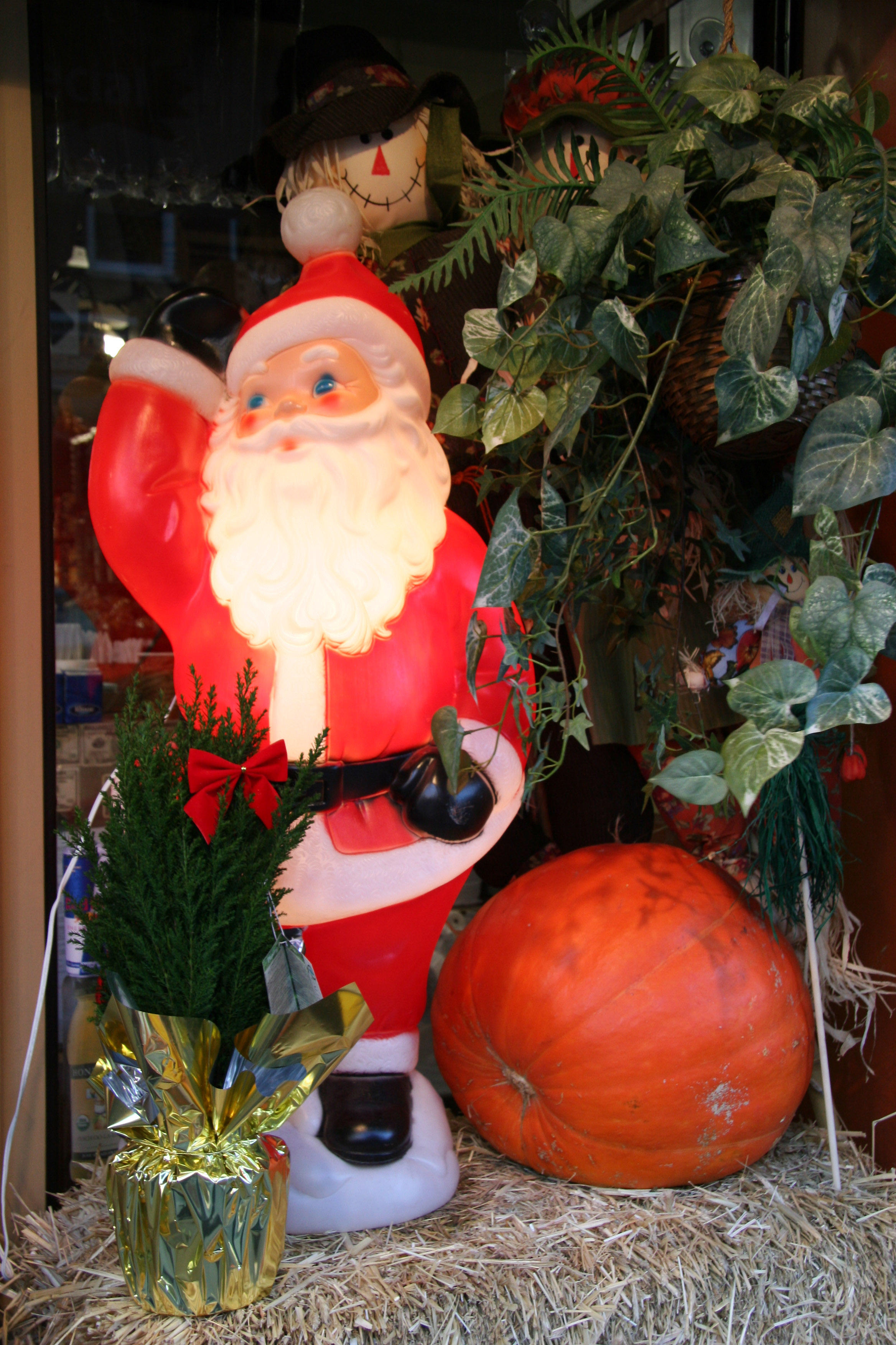 Season Decoration - Space Market