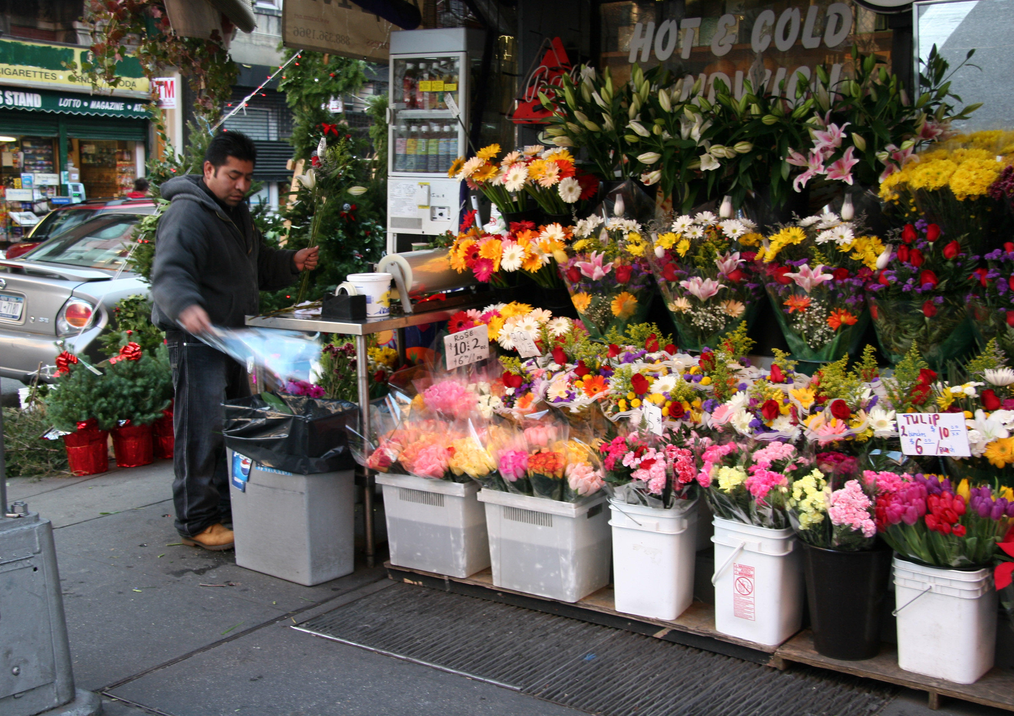 Florist at Thompson Street