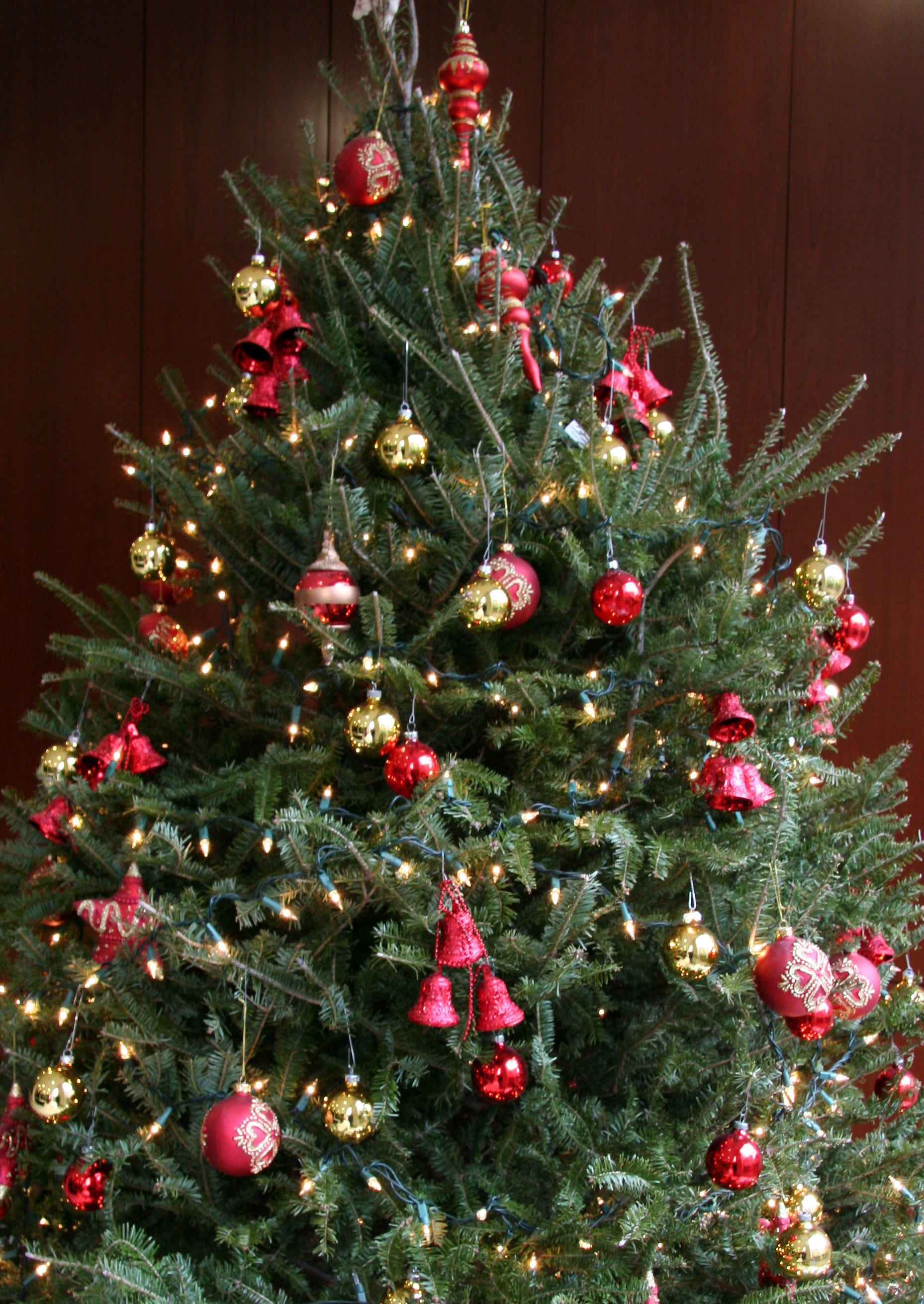 Christmas Tree - NYU Residence Lobby