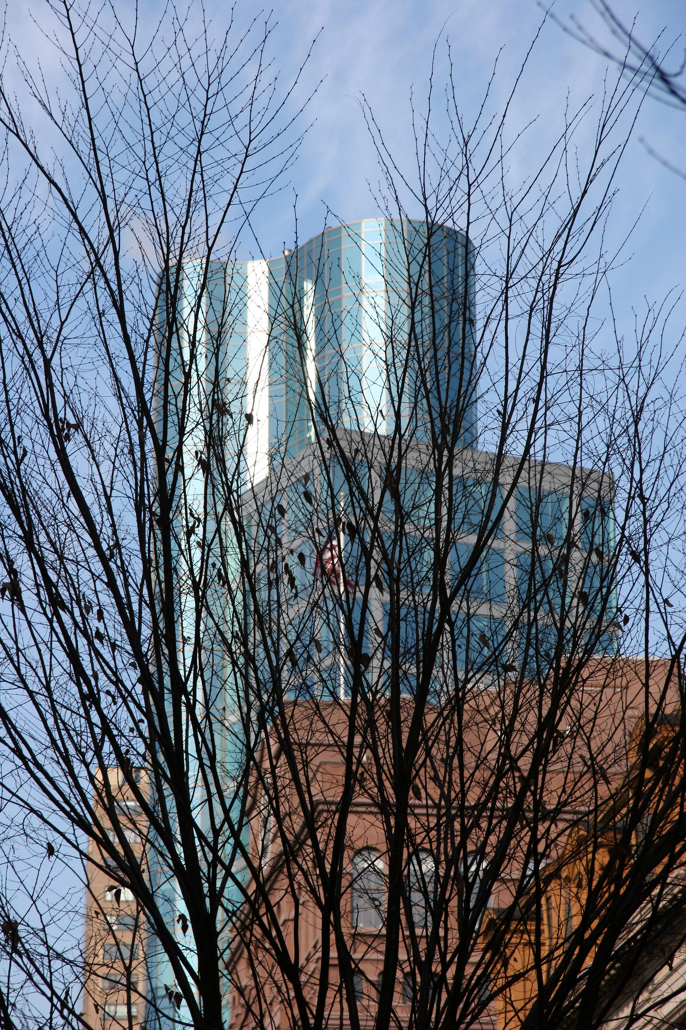 Peter Cooper Hall & Astor Place Tower