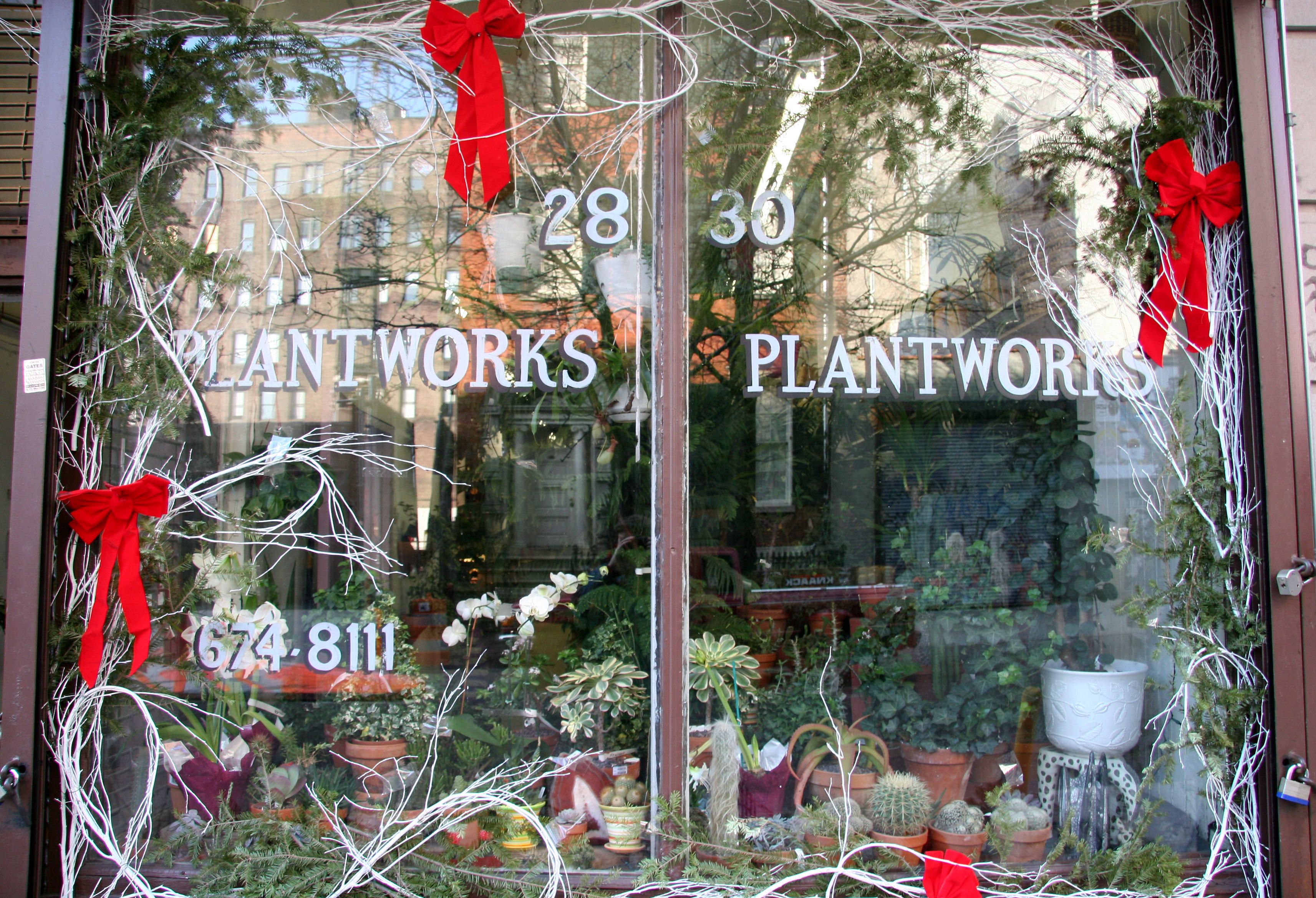 Plant Works Window