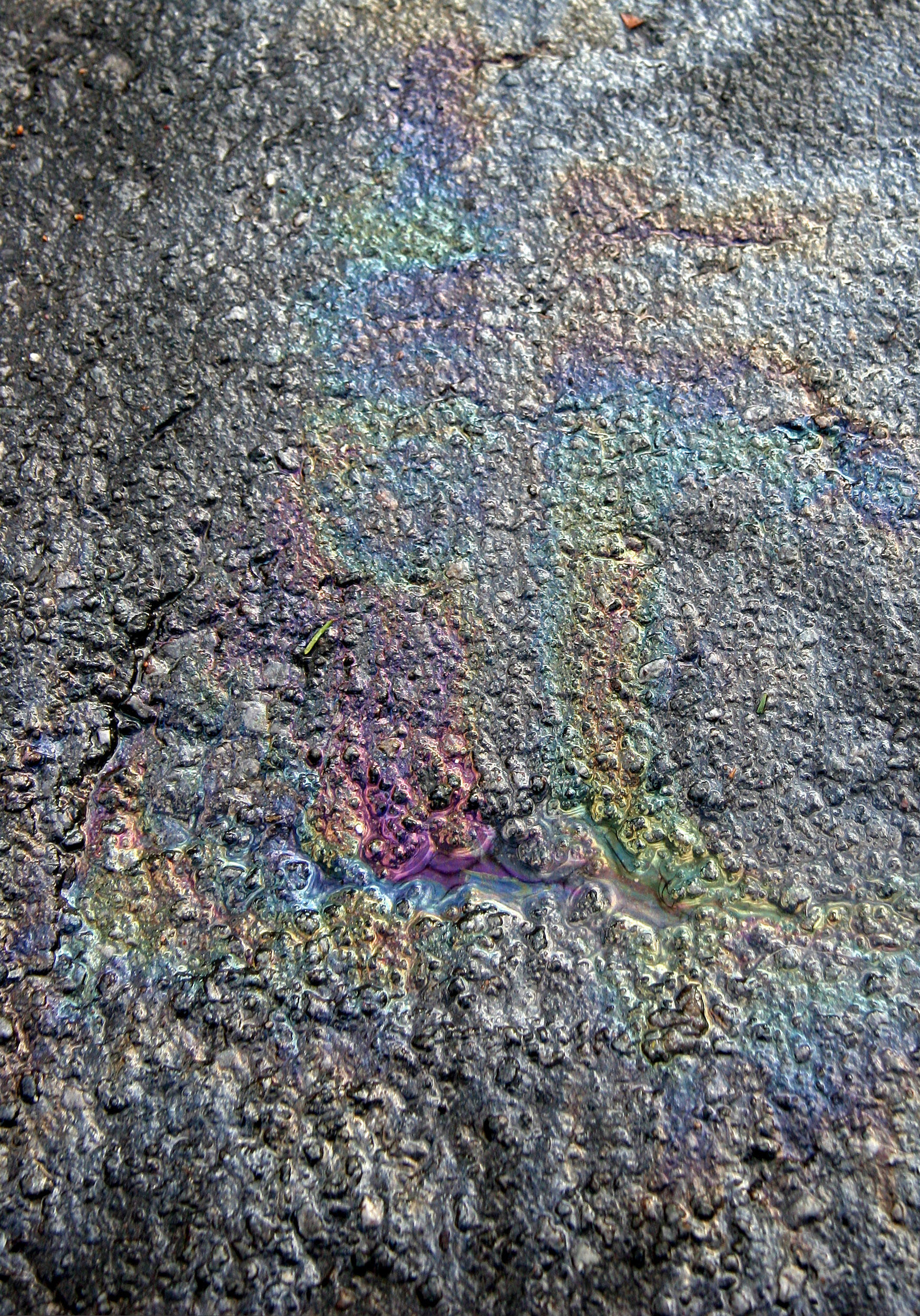 Water & Oil on the Asphalt Park Path