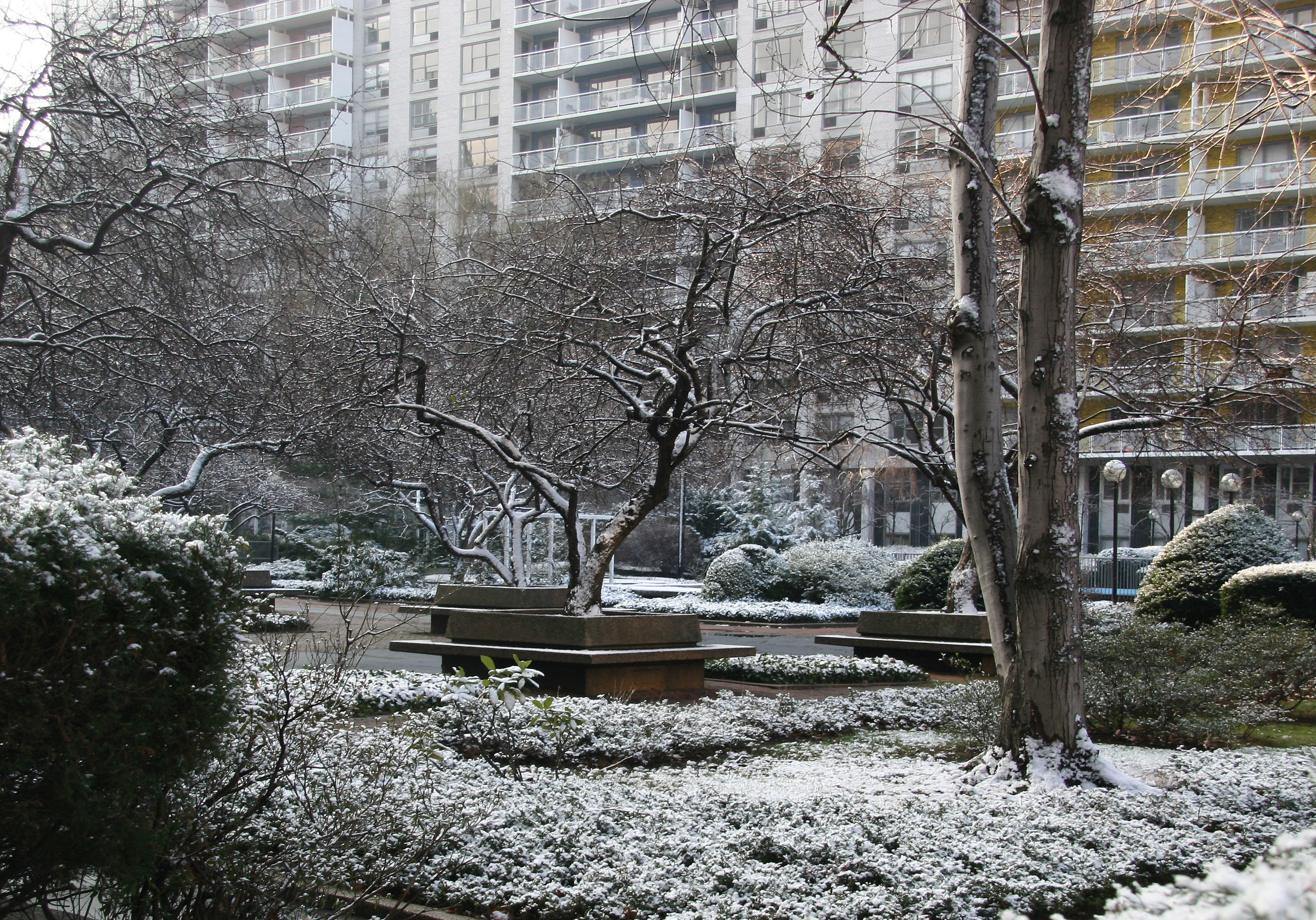First Snow of the Season