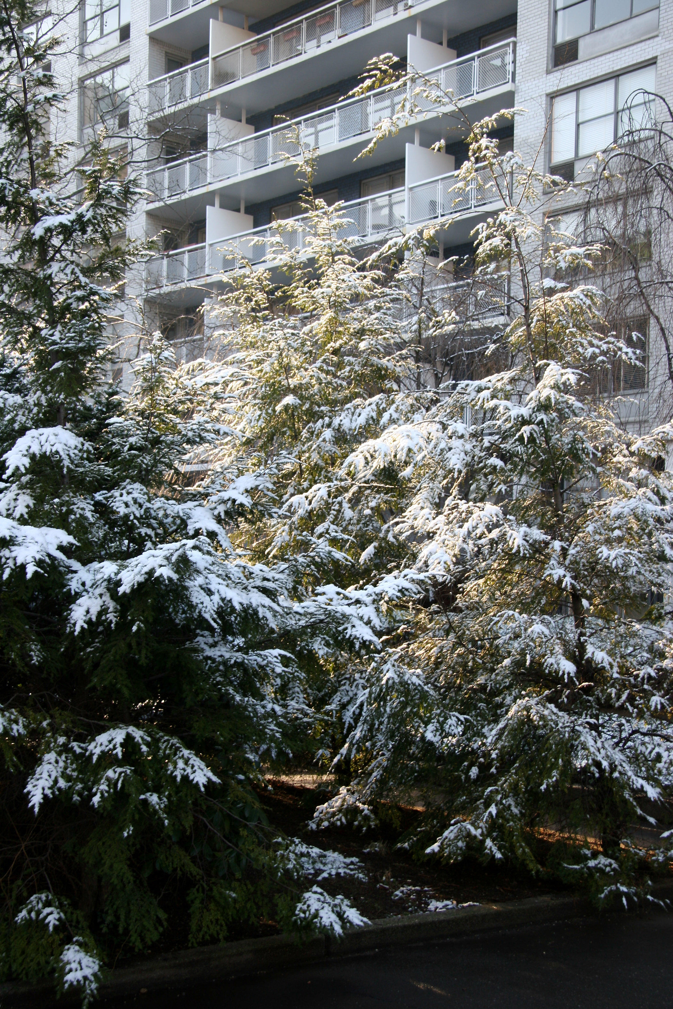 First Snow of the Season