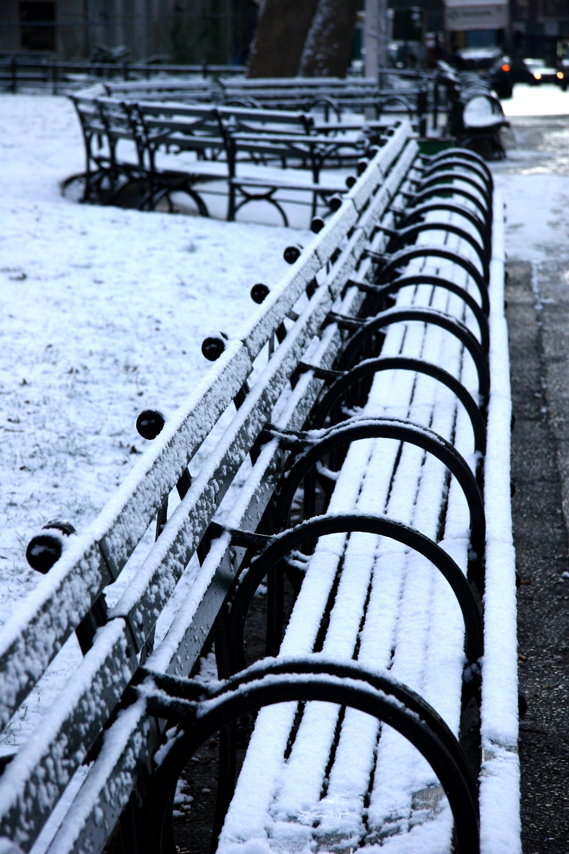 Snow Covered Benchs