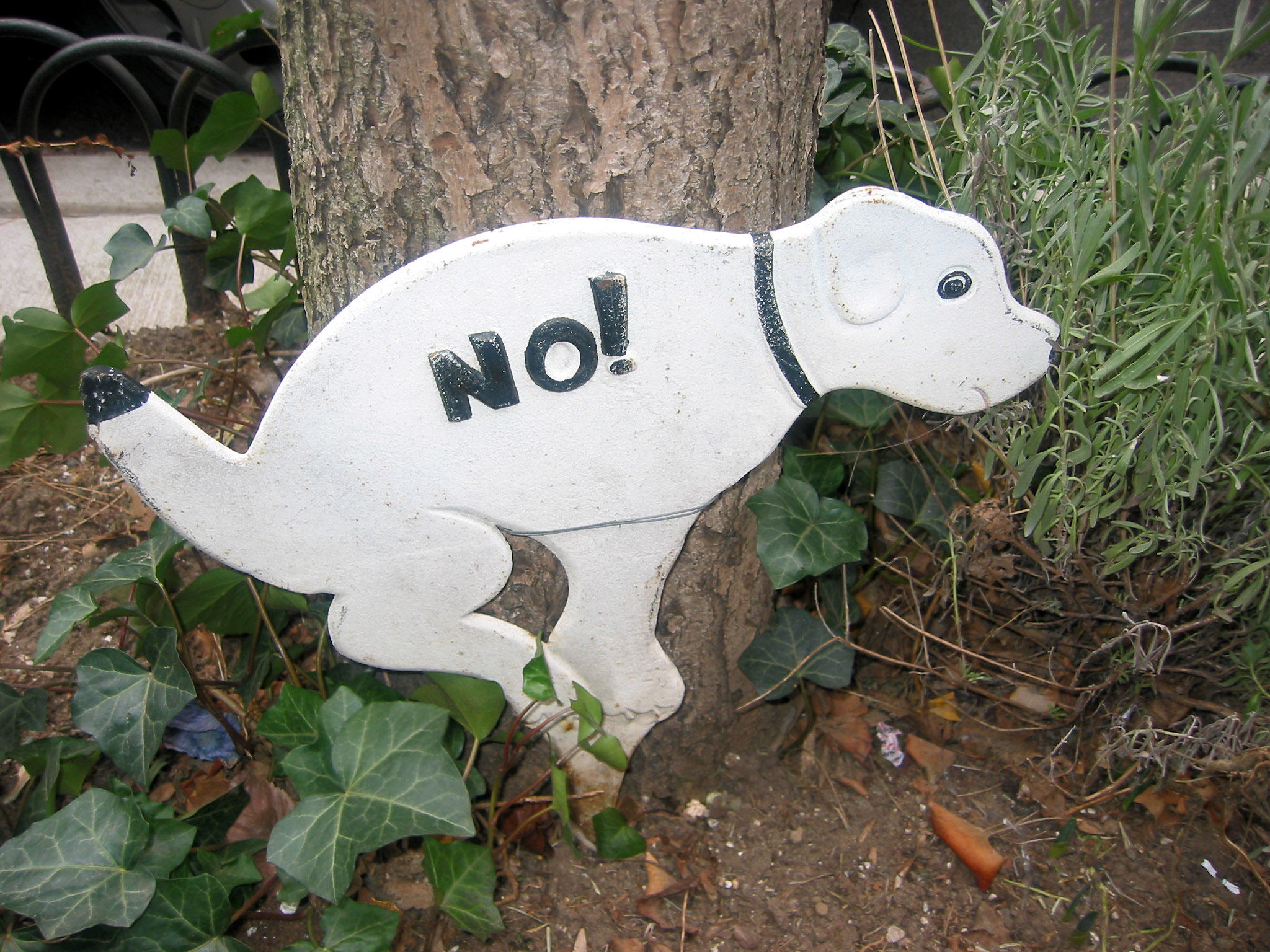 No Doo Doo in the Sidewalk Gardens Please