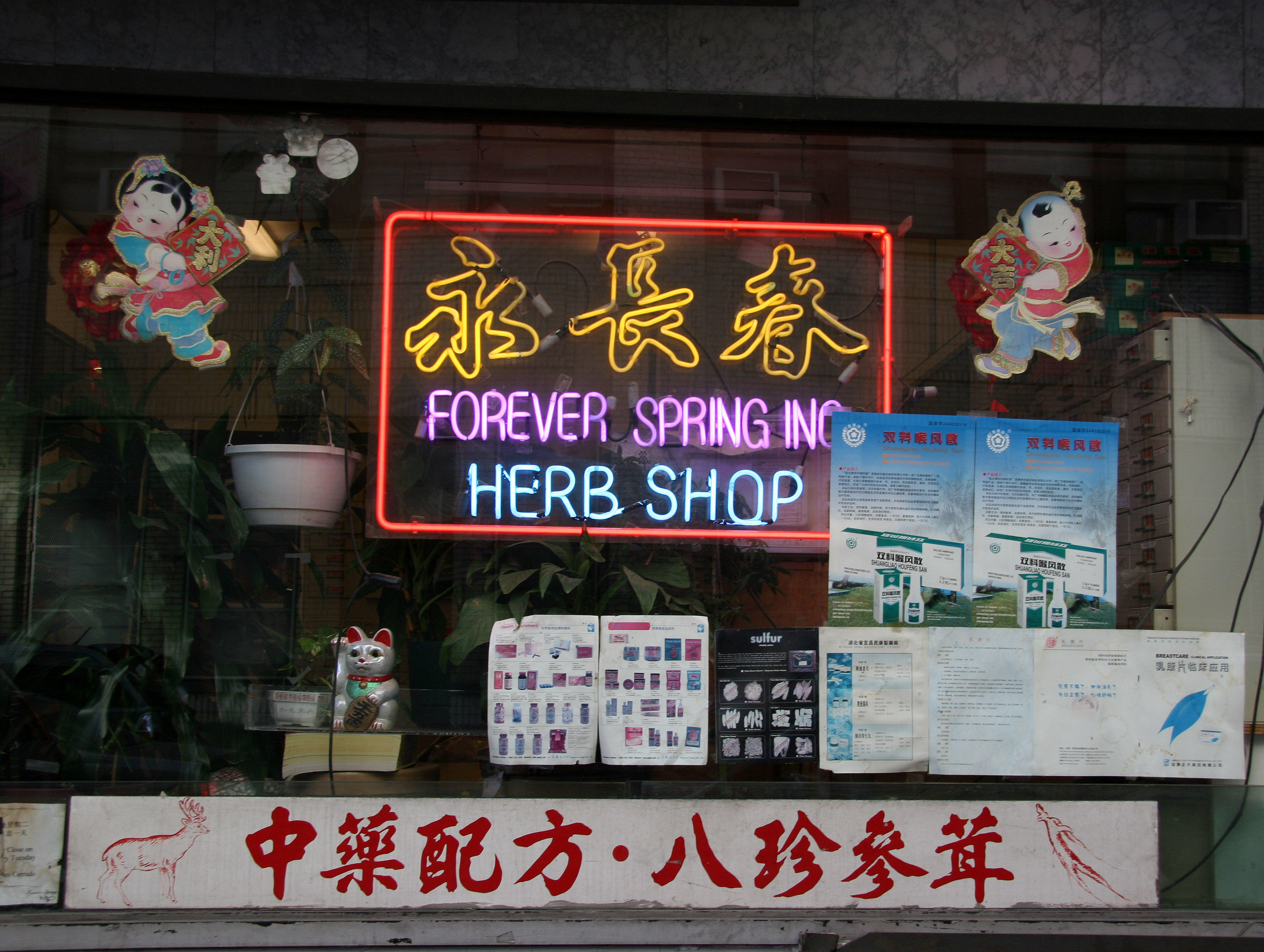 Chinese Herb Shop