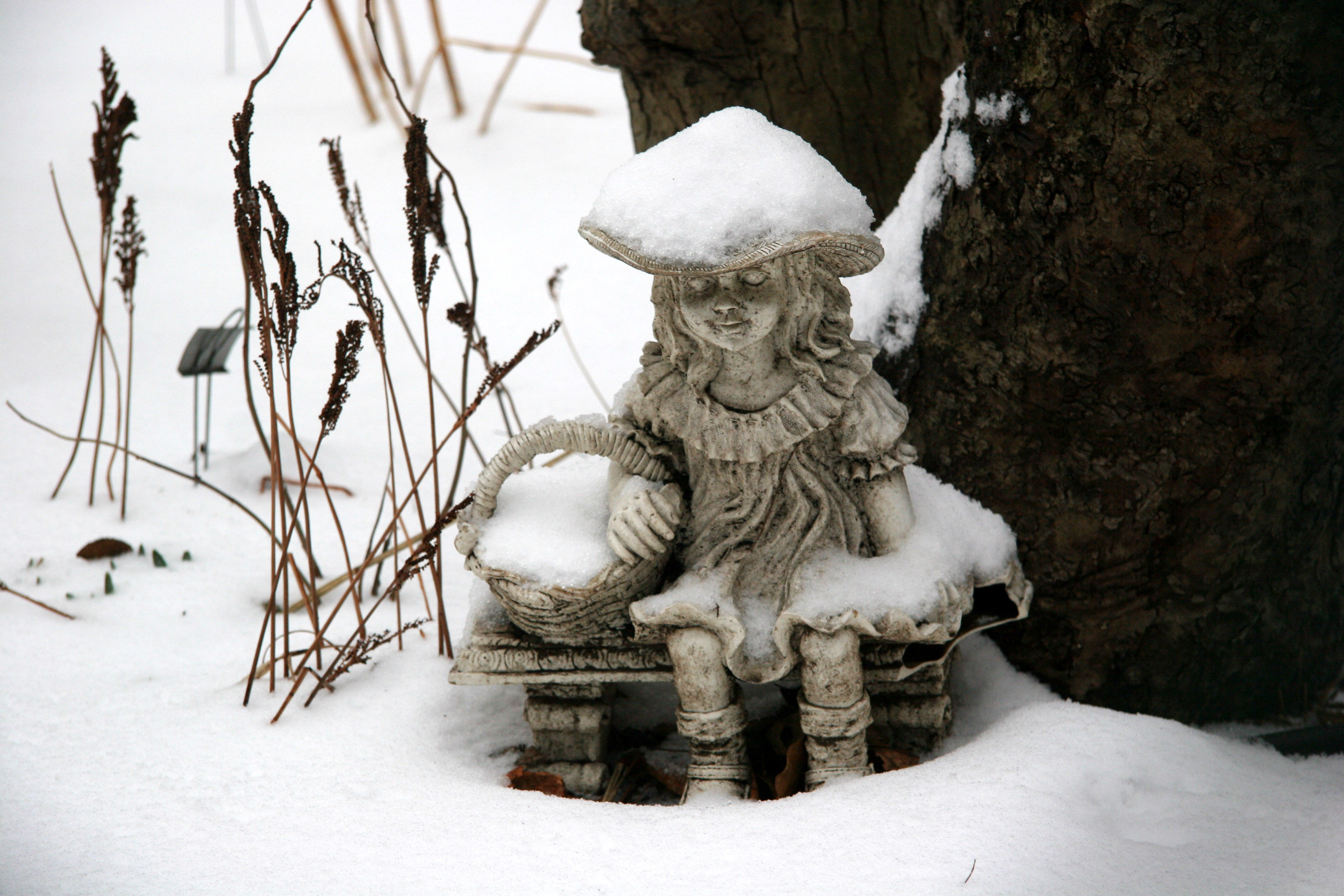 Little Bo Peep at the Base of an Apple Tree