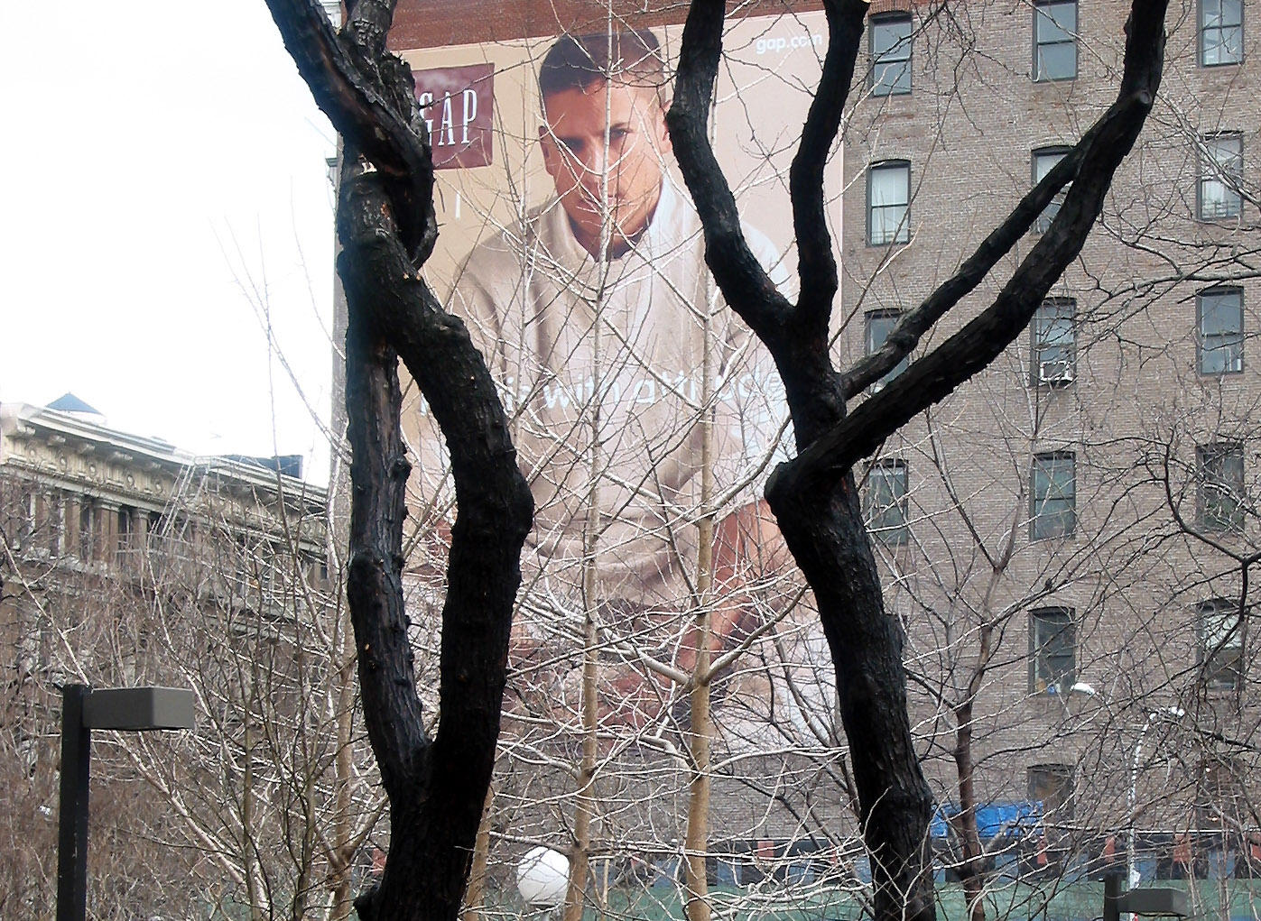 GAP Billboard Framed by Two Locust Trees