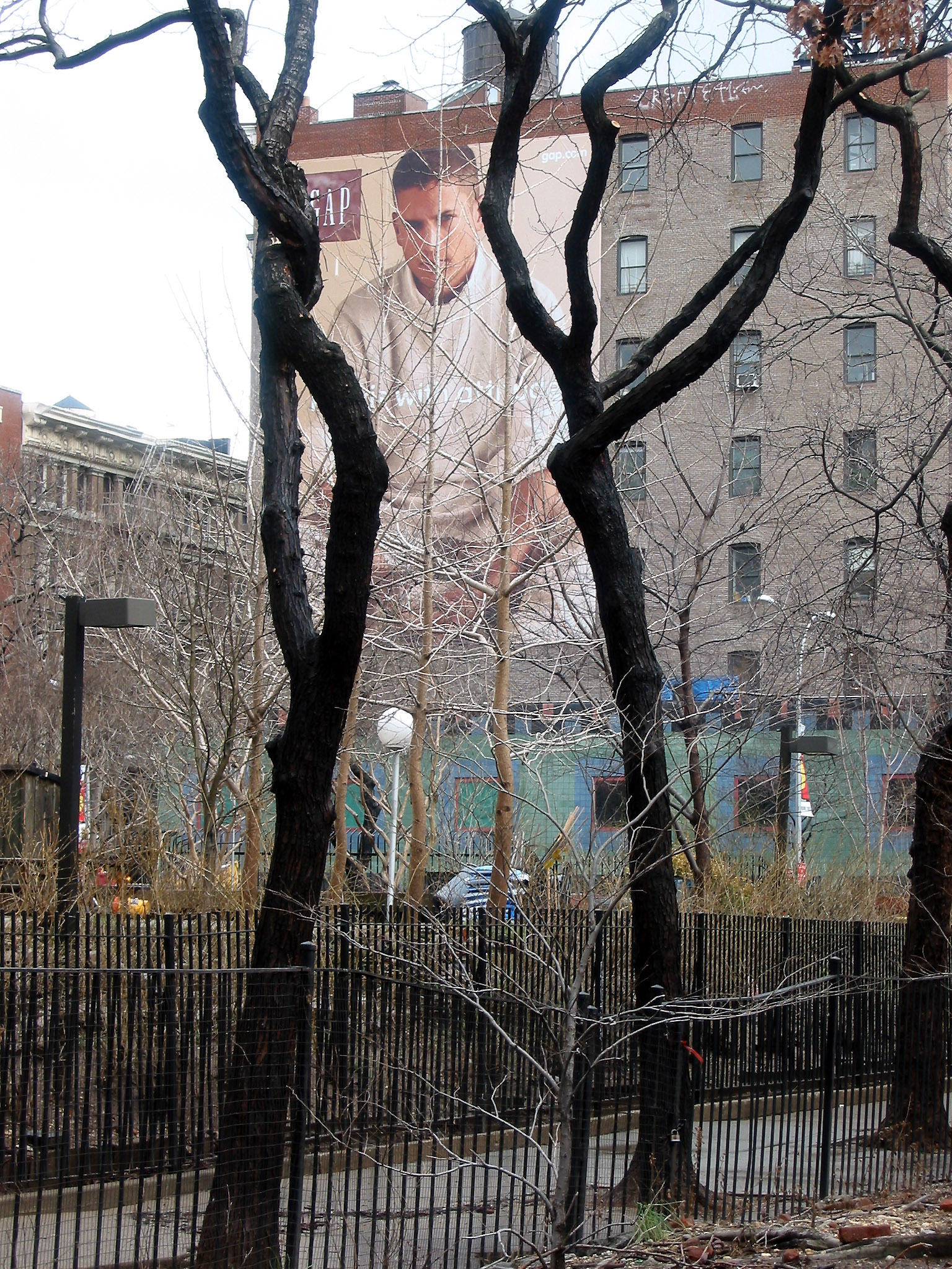 GAP Billboard Framed by Two Locust Trees on West Houston Street
