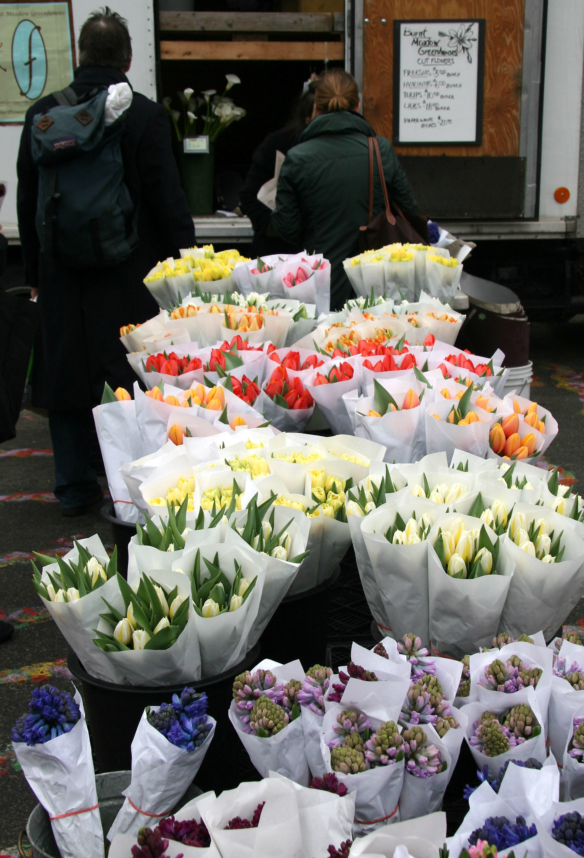 Tulips
