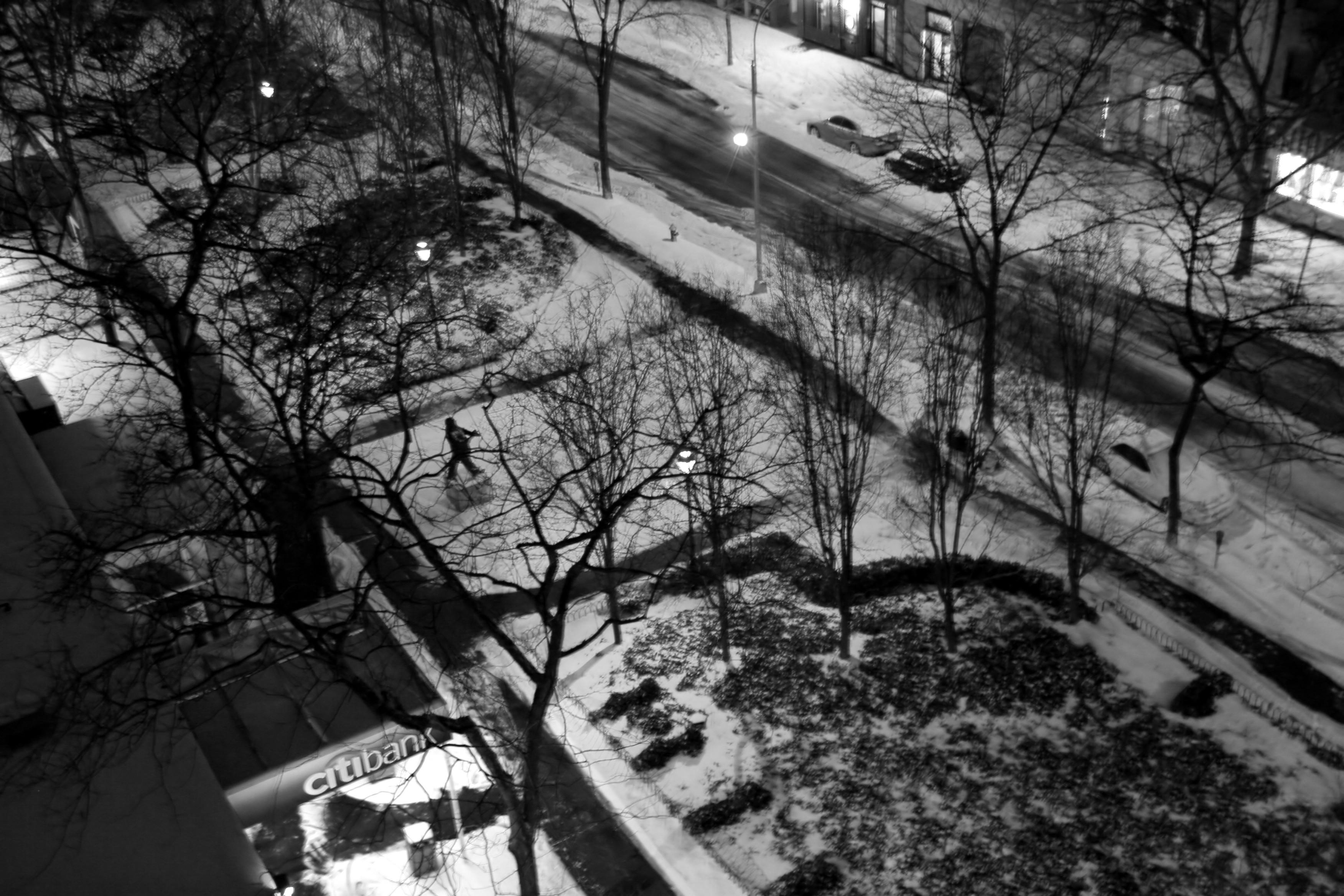 Night Snow - Garden View