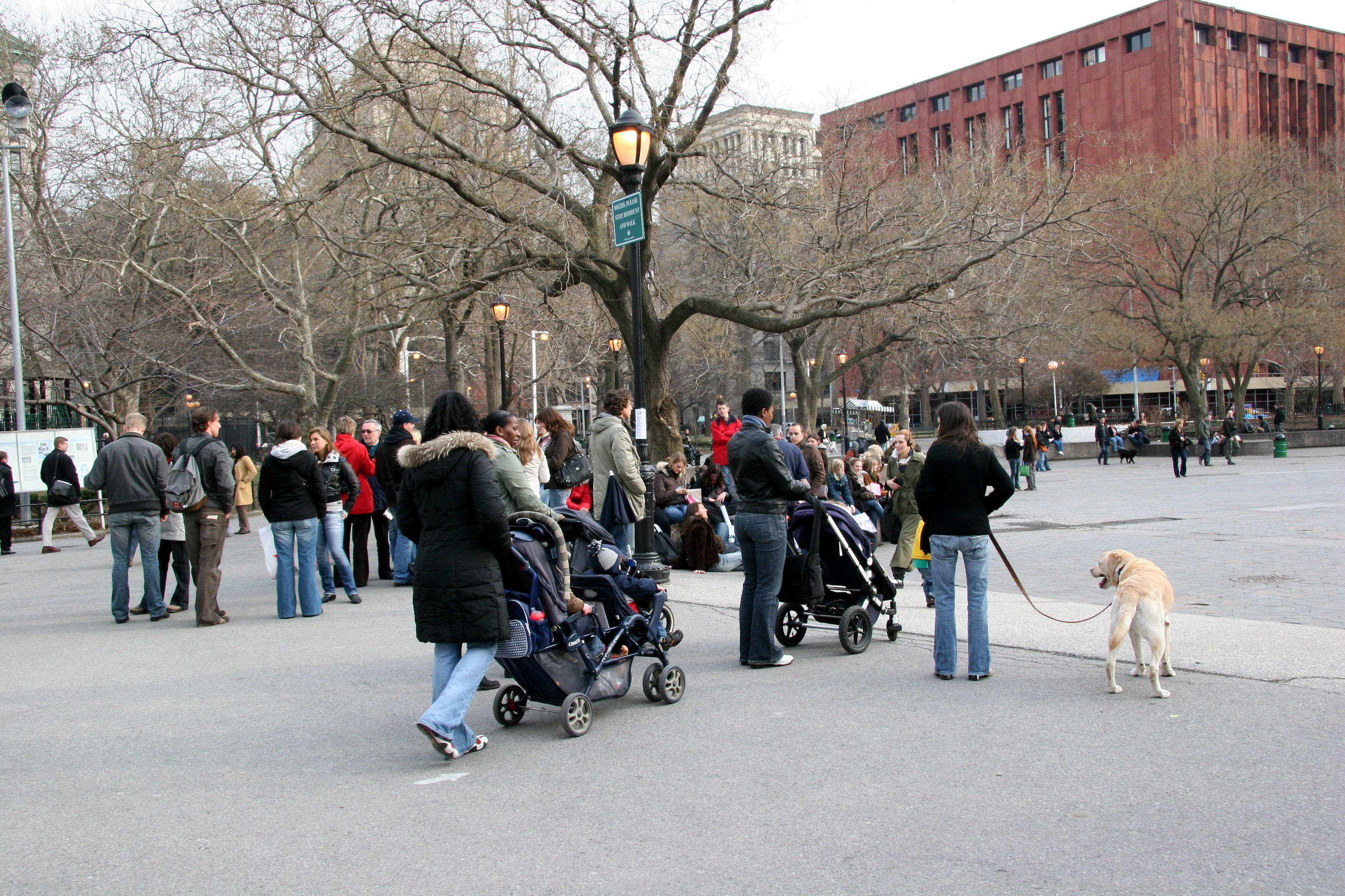 Park View by the Arch - NYU Library