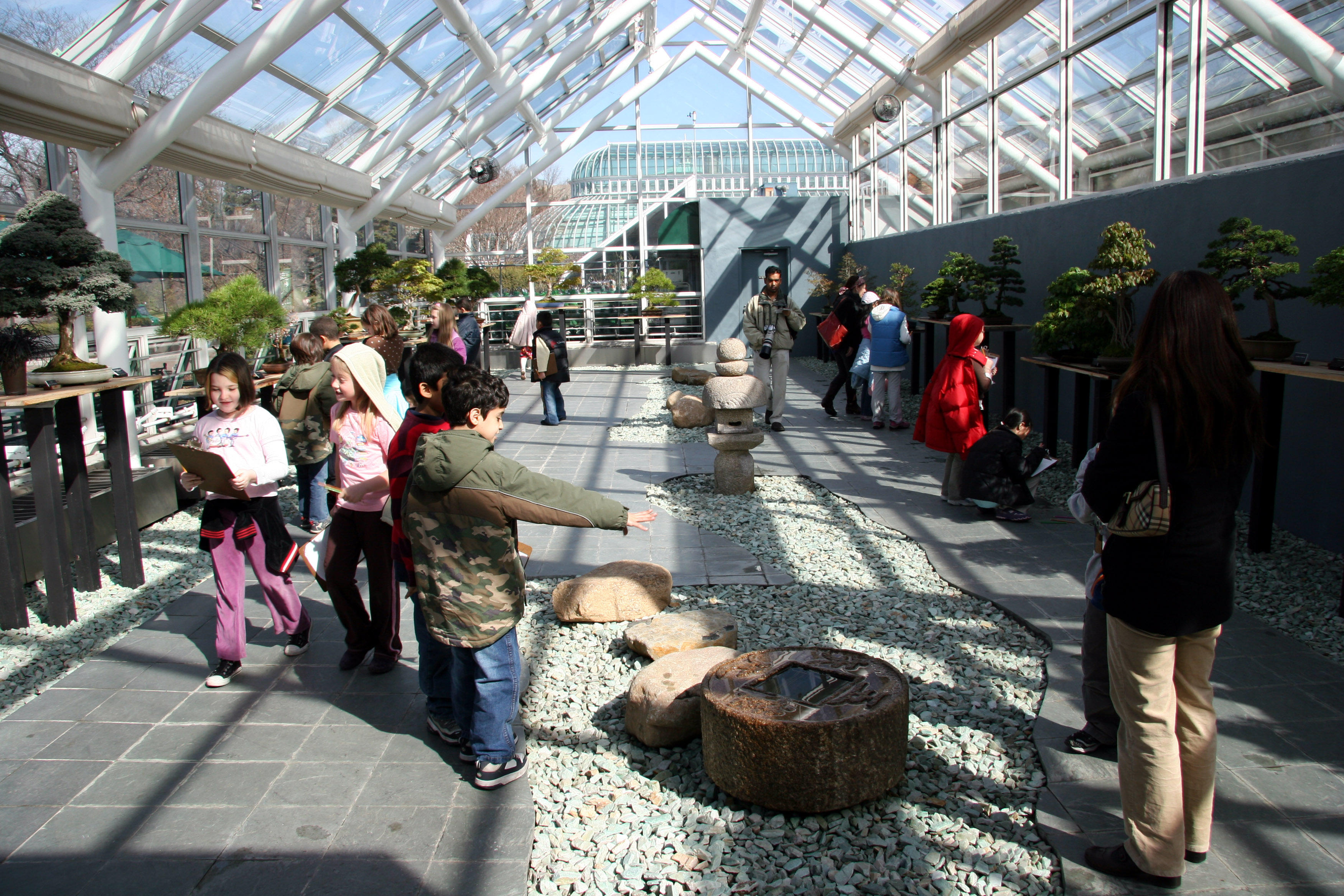 Bonsai Gallery