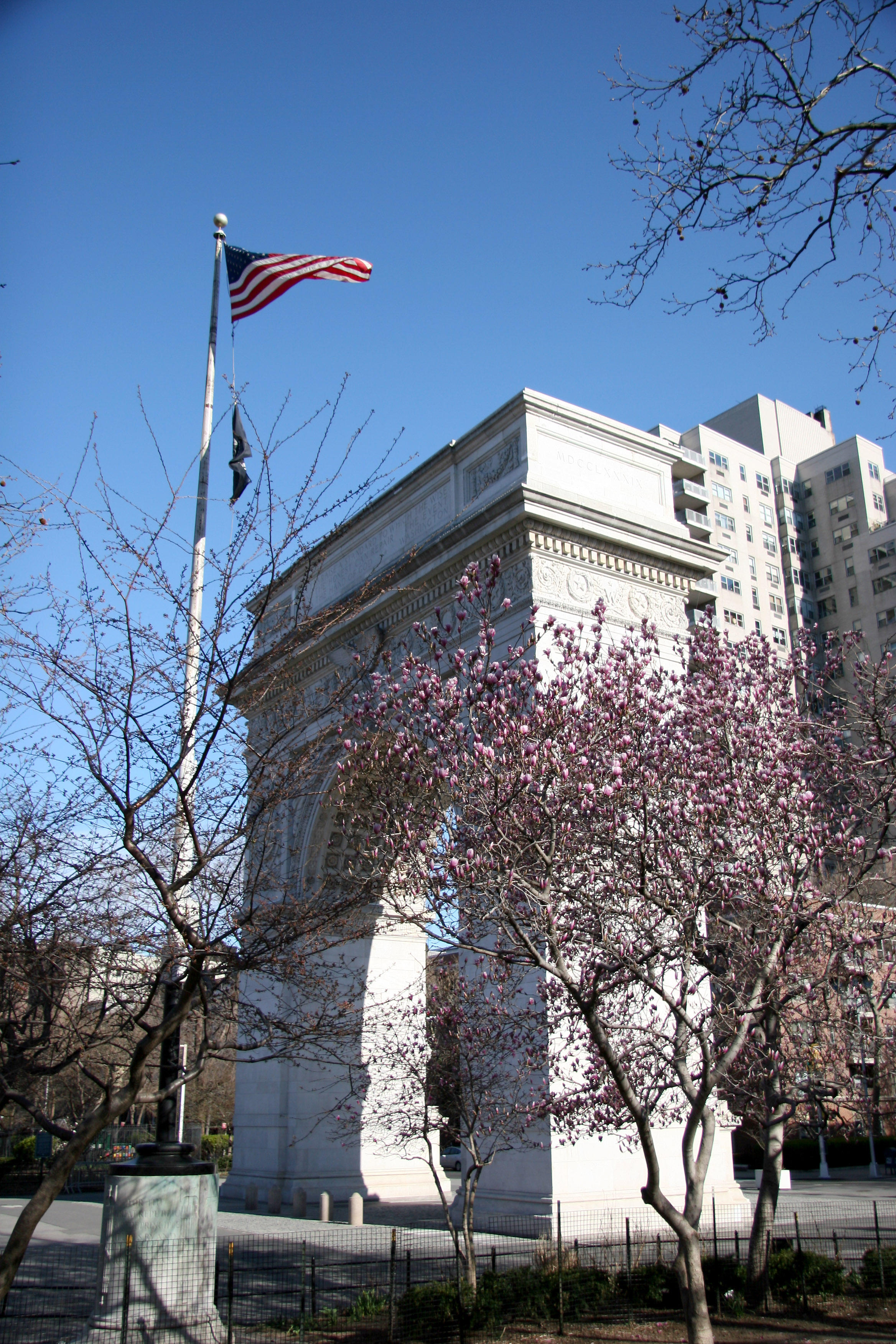 Magnolia & Arch View