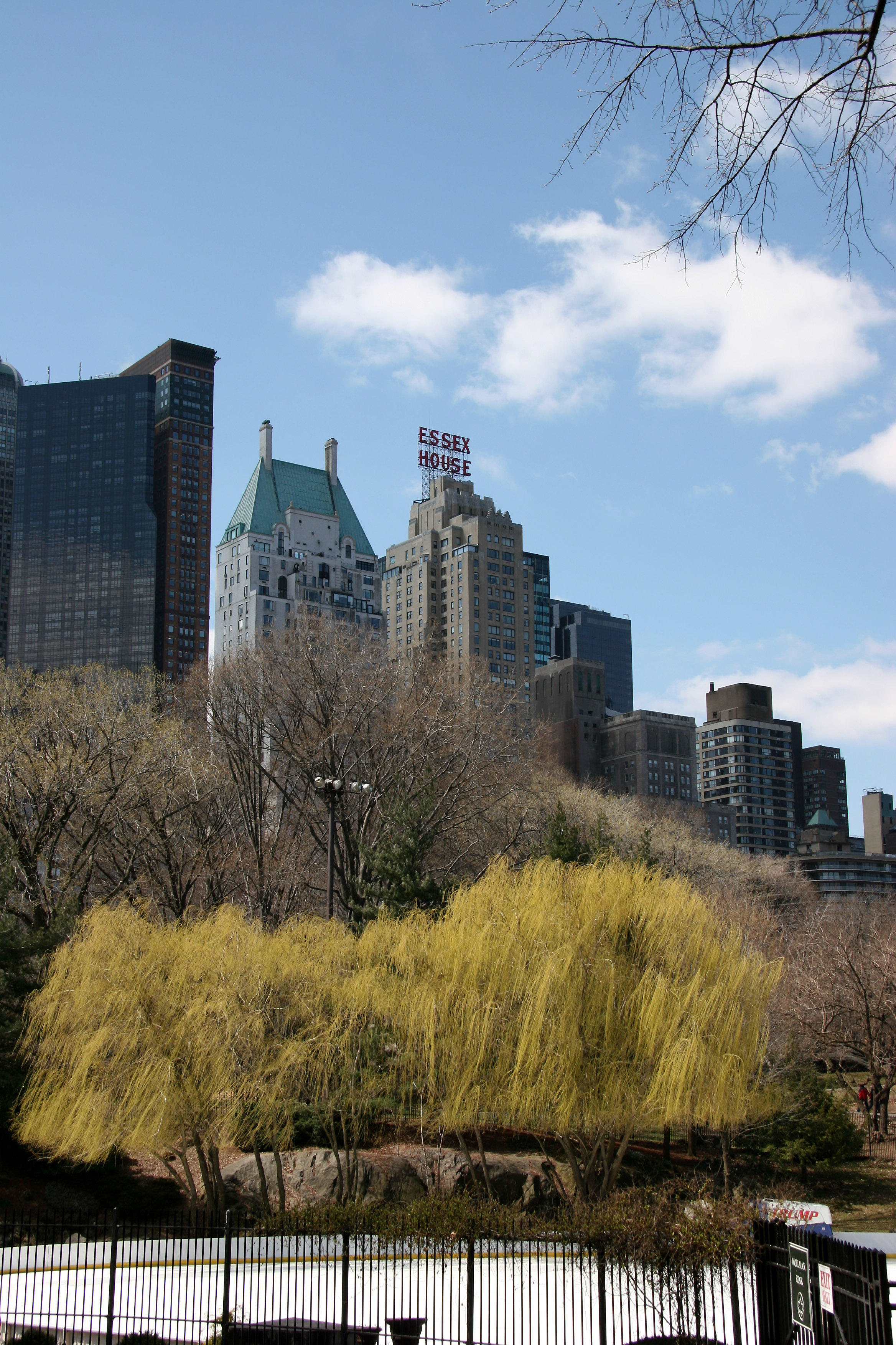 Wollman Skating Rink - Central Park South