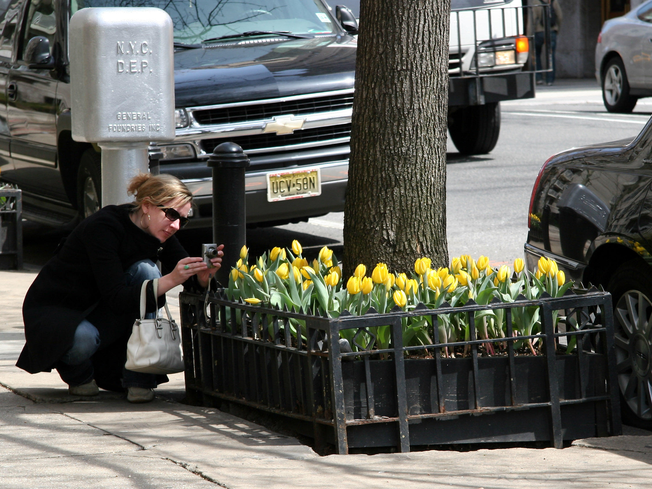 Photographing the Tulip Street Garden