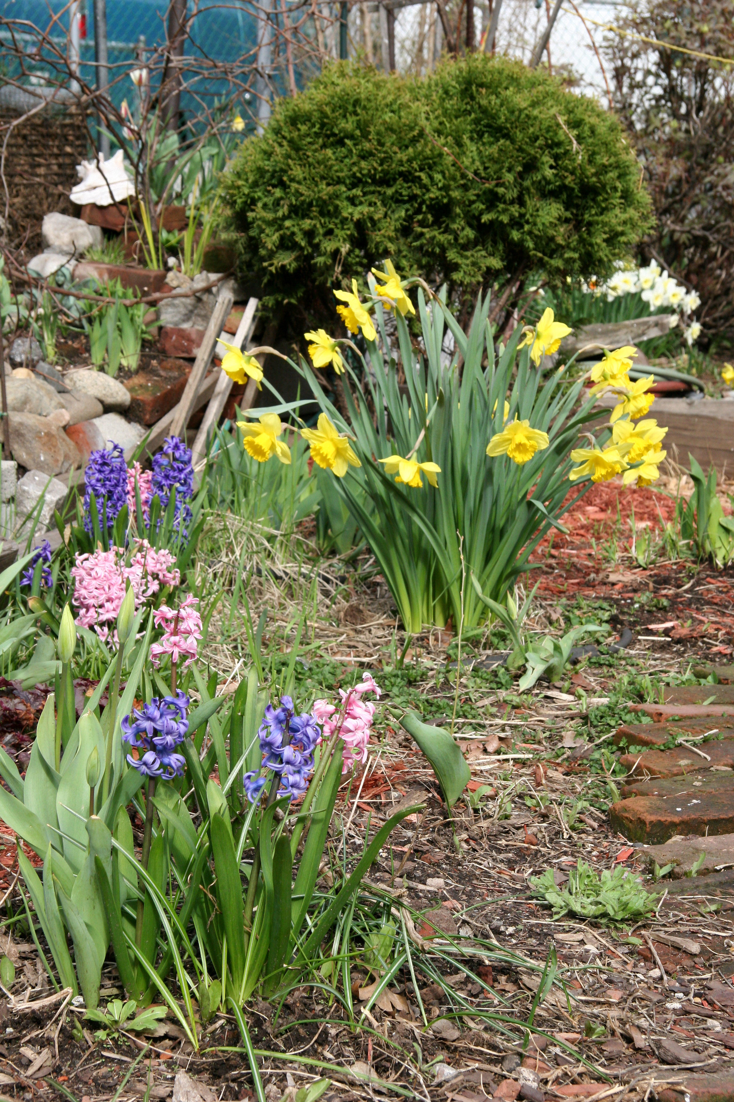 Garden Plot