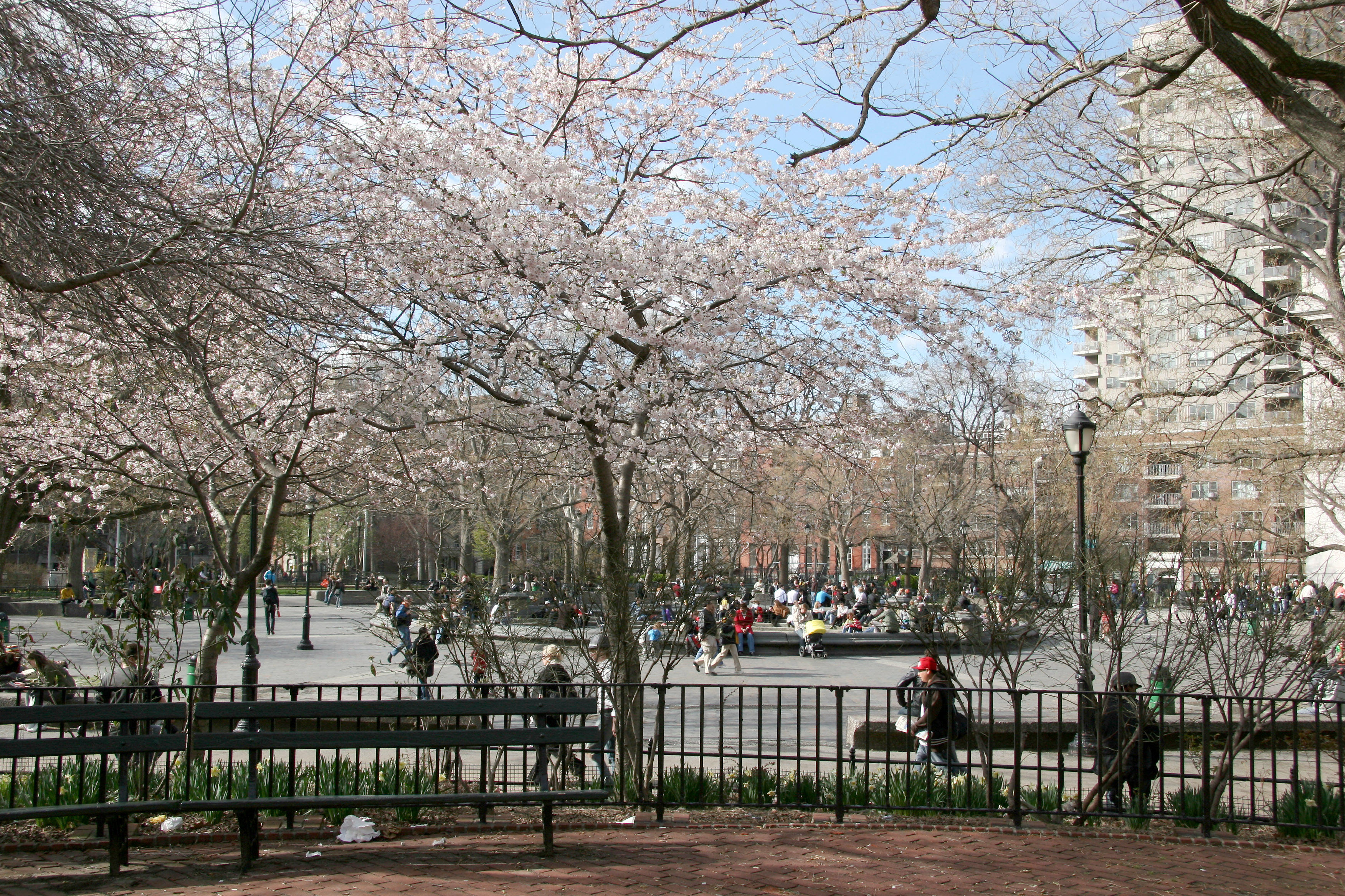 Performance Stage & Fountain Area