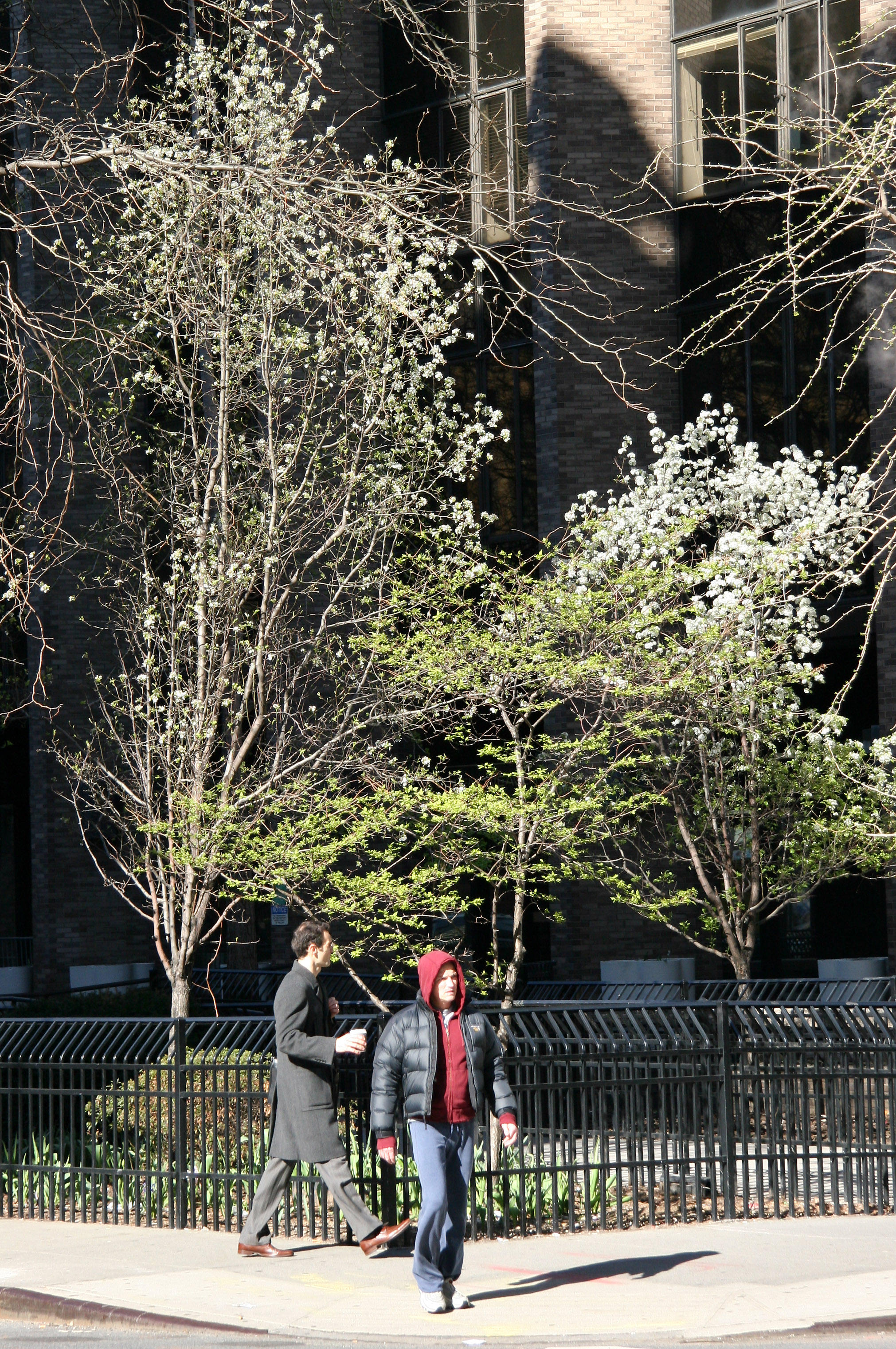 Southwest Corner at Mercer Street
