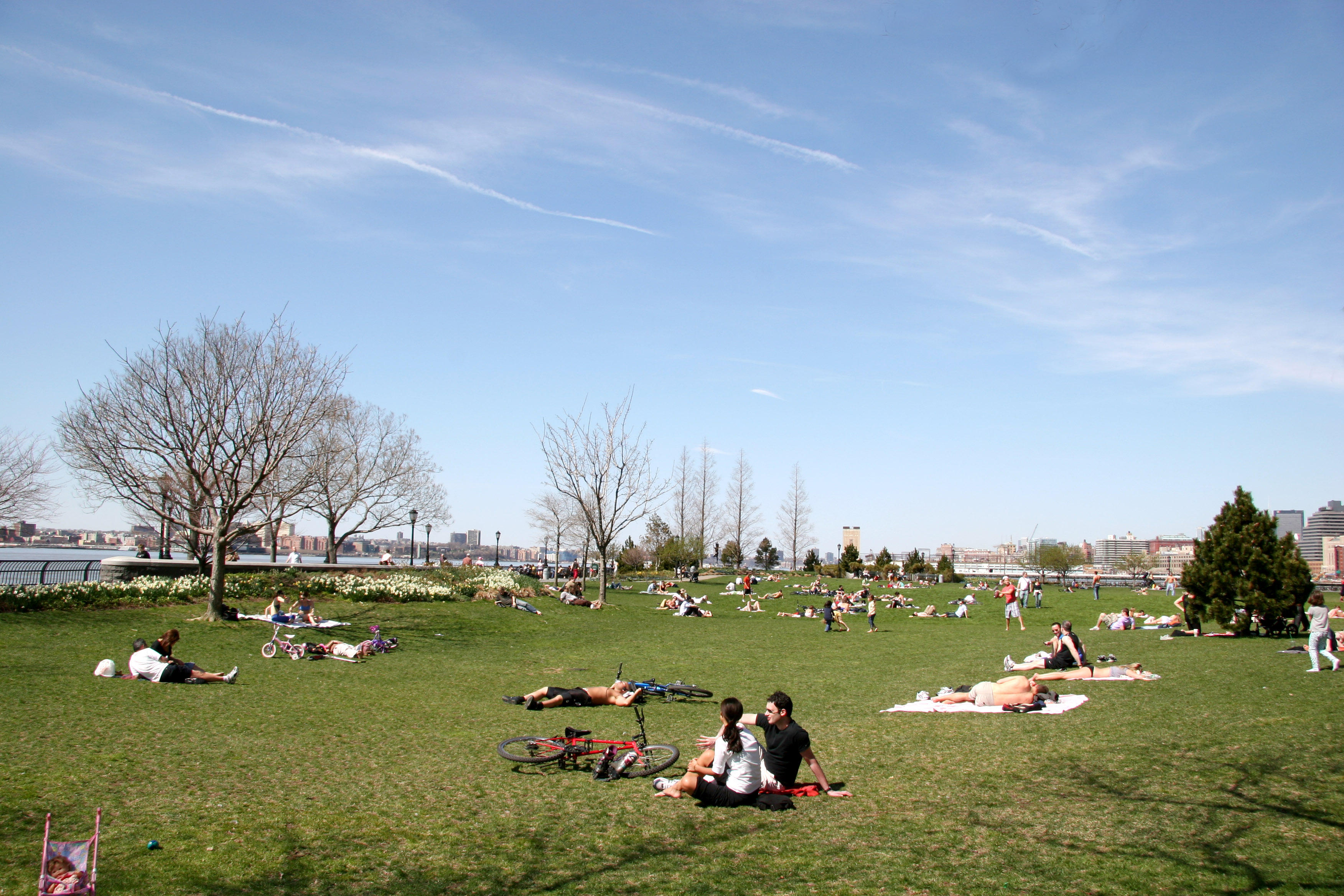 Park View