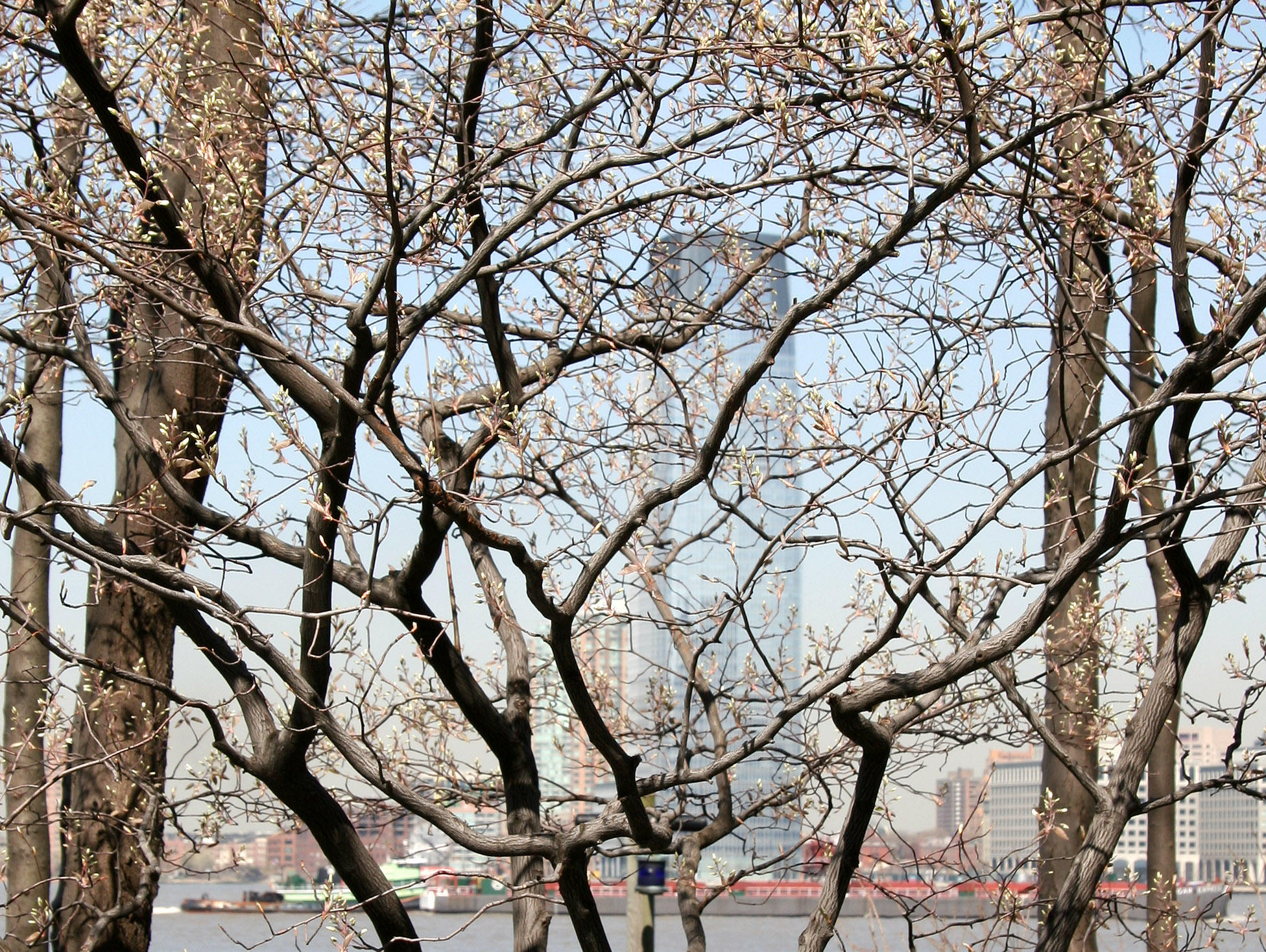 Garden/River View