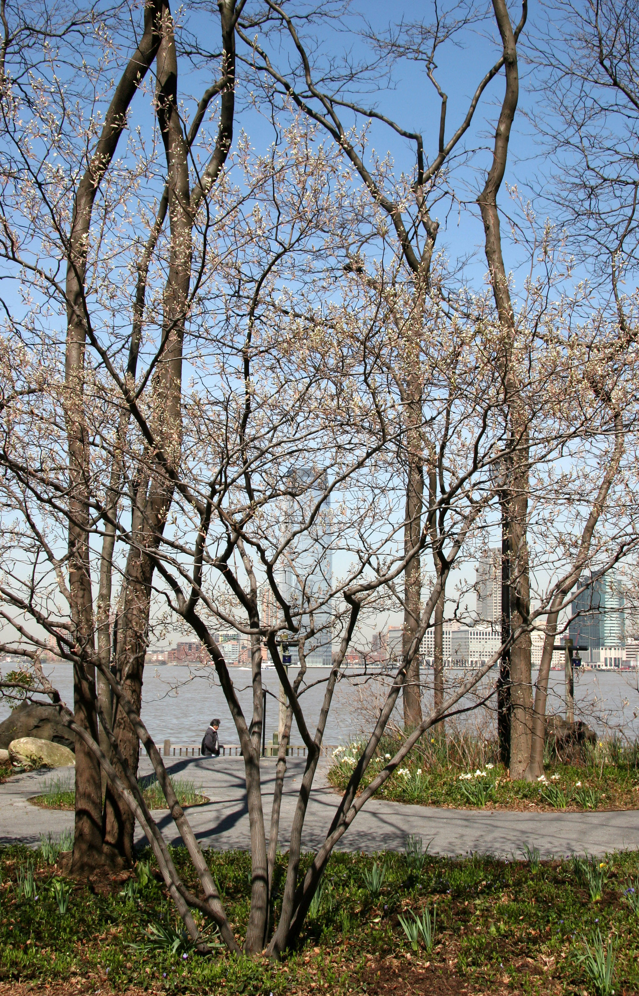 Garden & River View