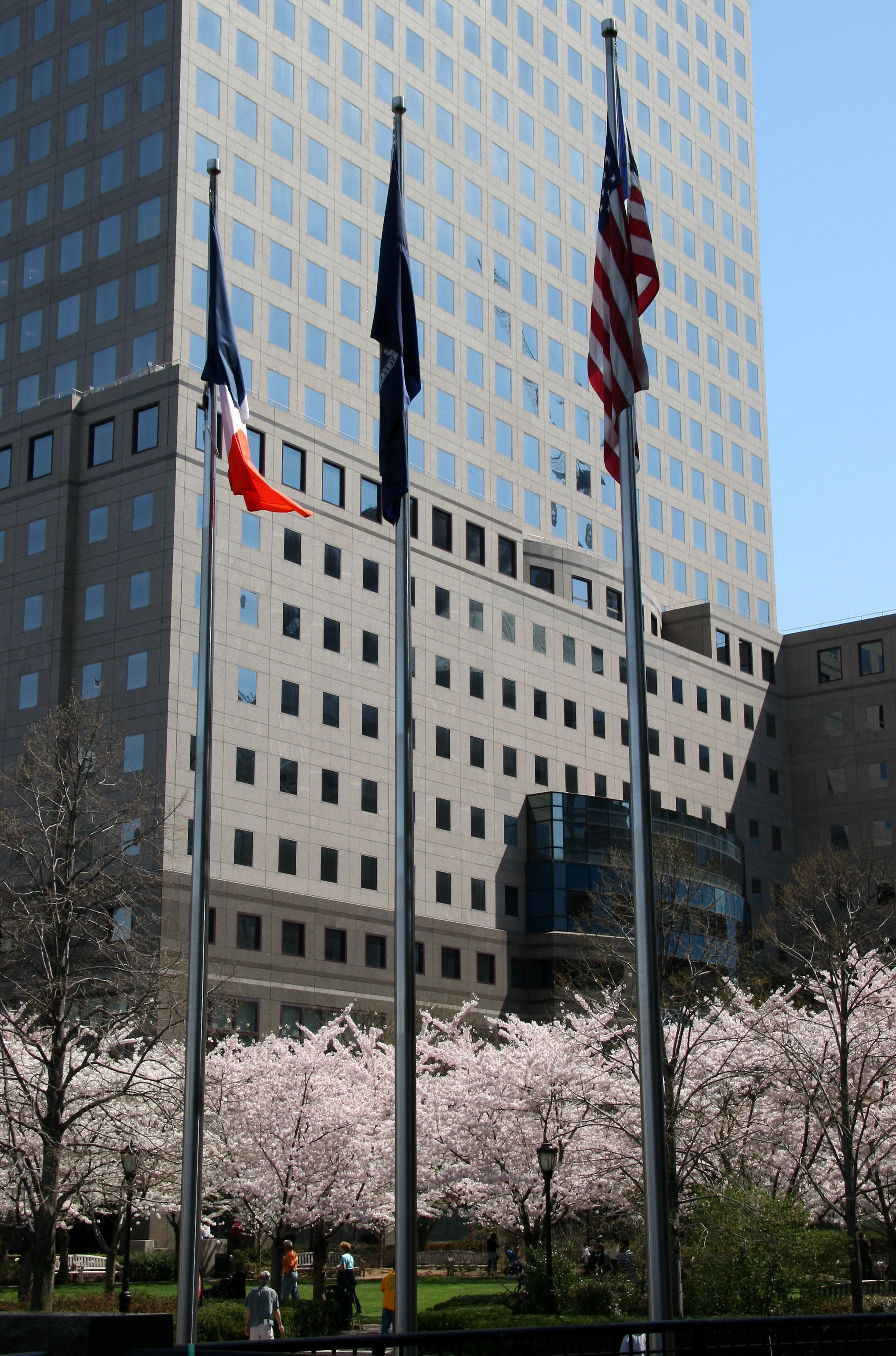 Cherry Trees at the Yacht Basin Garden