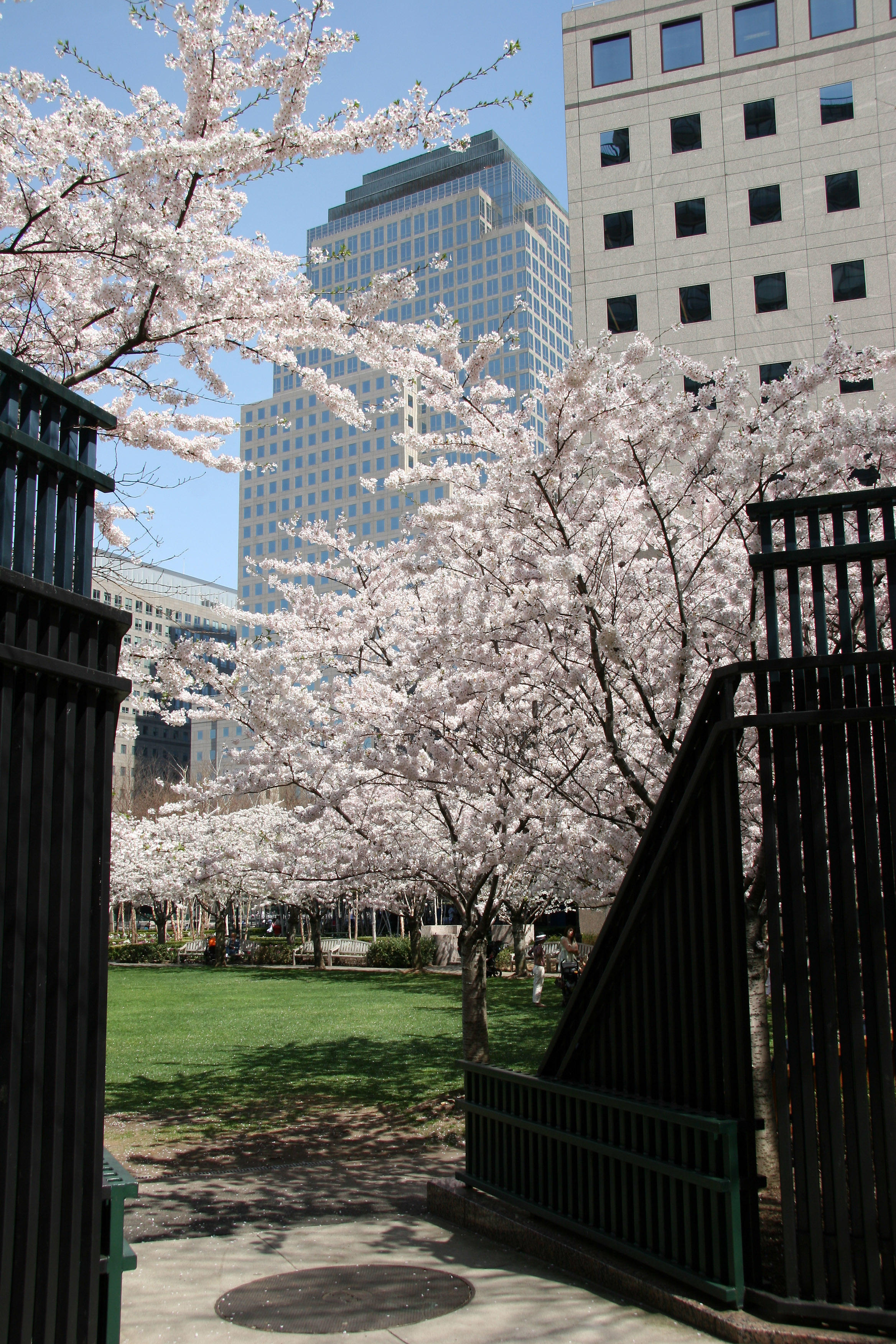 Garden Entrance from the Street