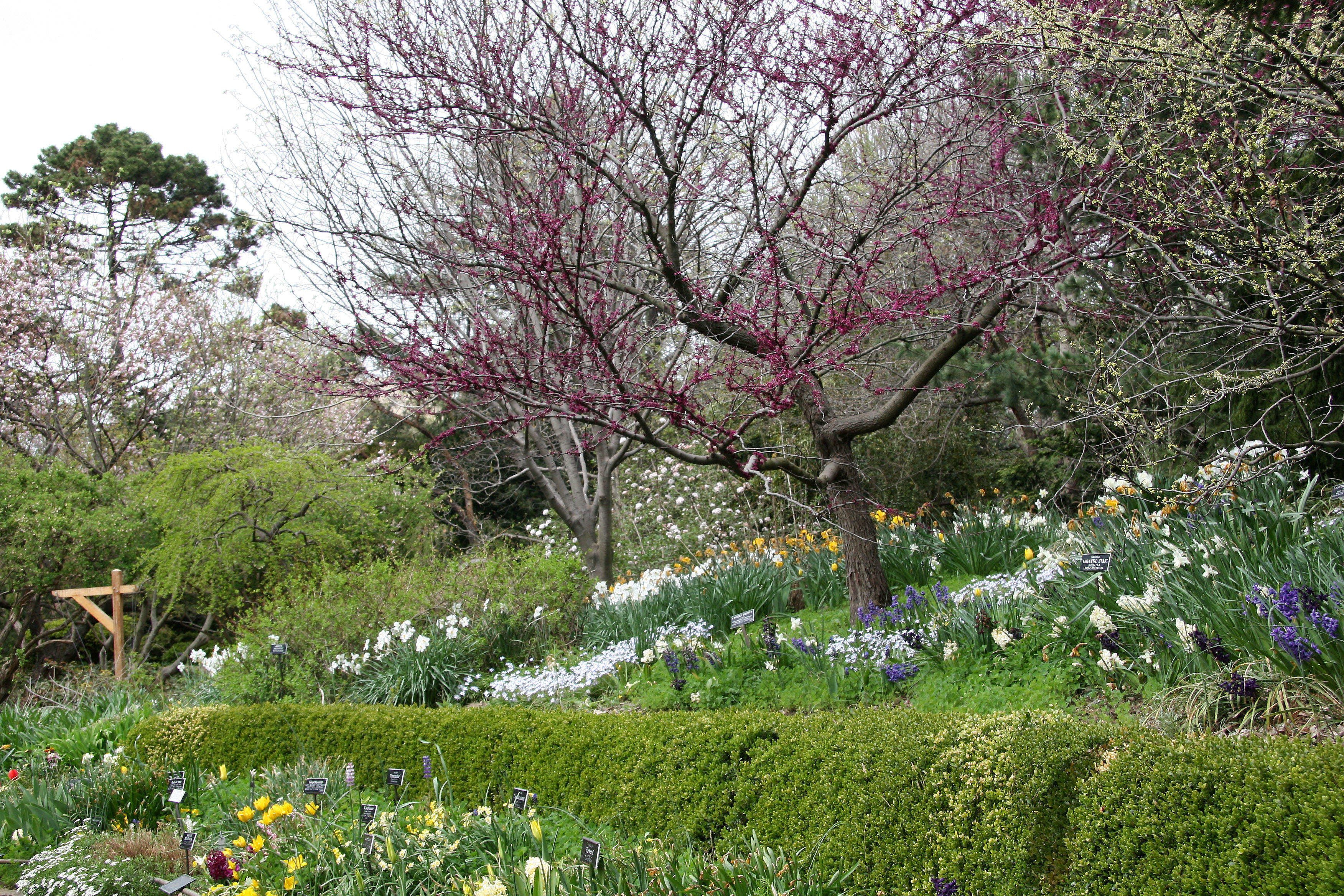 Shakespeare Garden Area