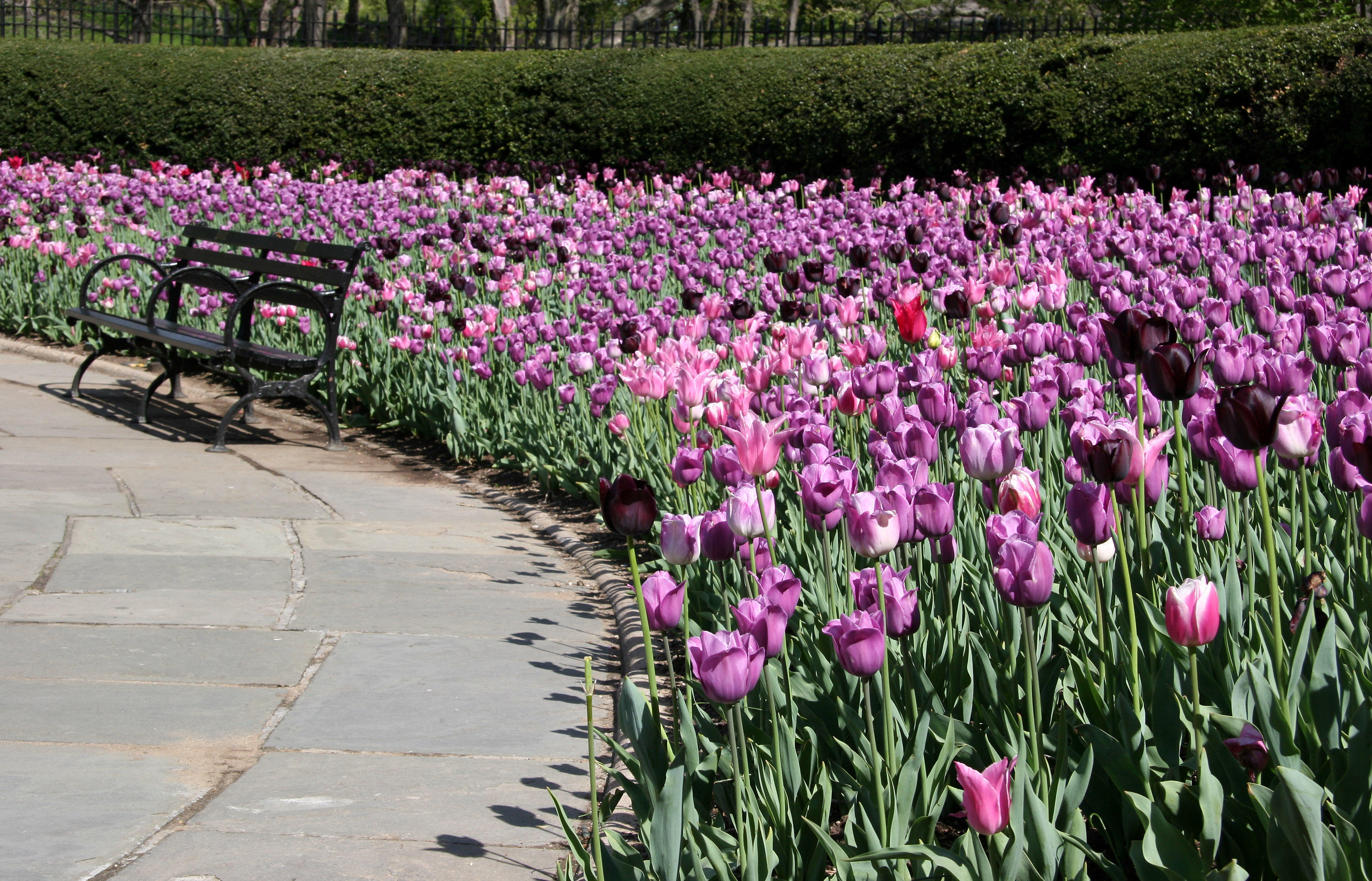 Central Park Conservatory