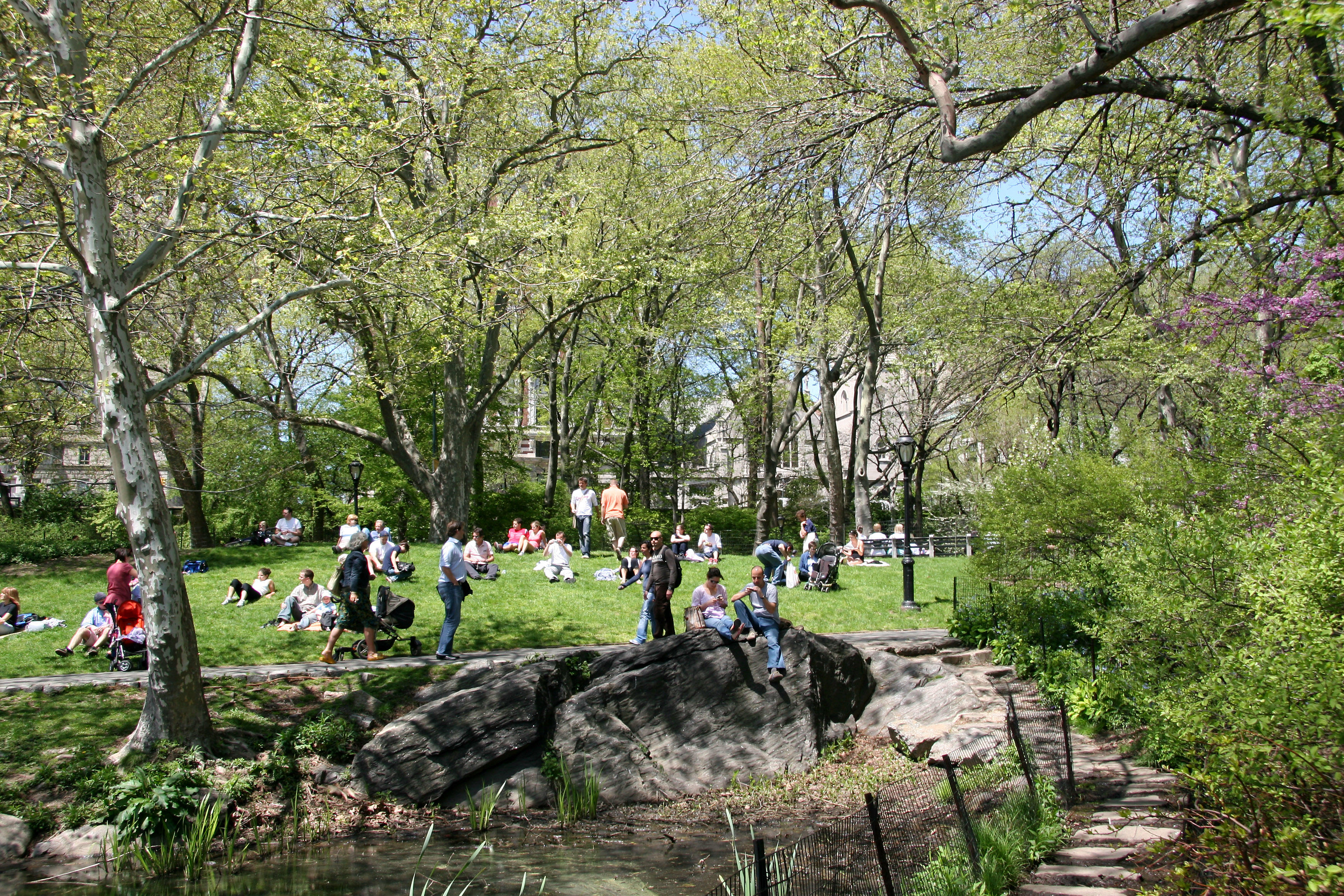 Performance Area by the Lake