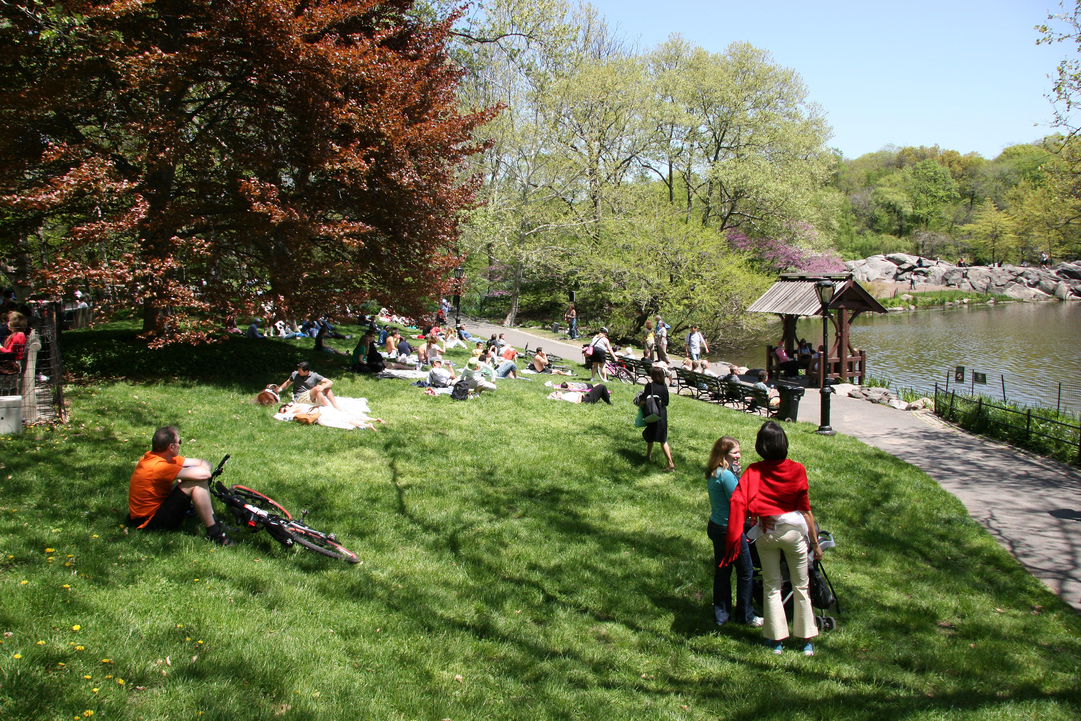 Performance Area by the Lake