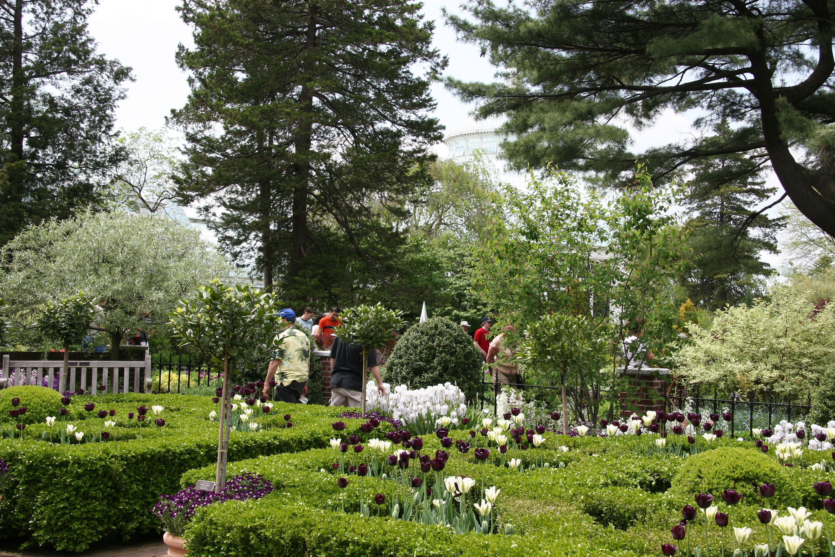 Perennial Conservatory Garden