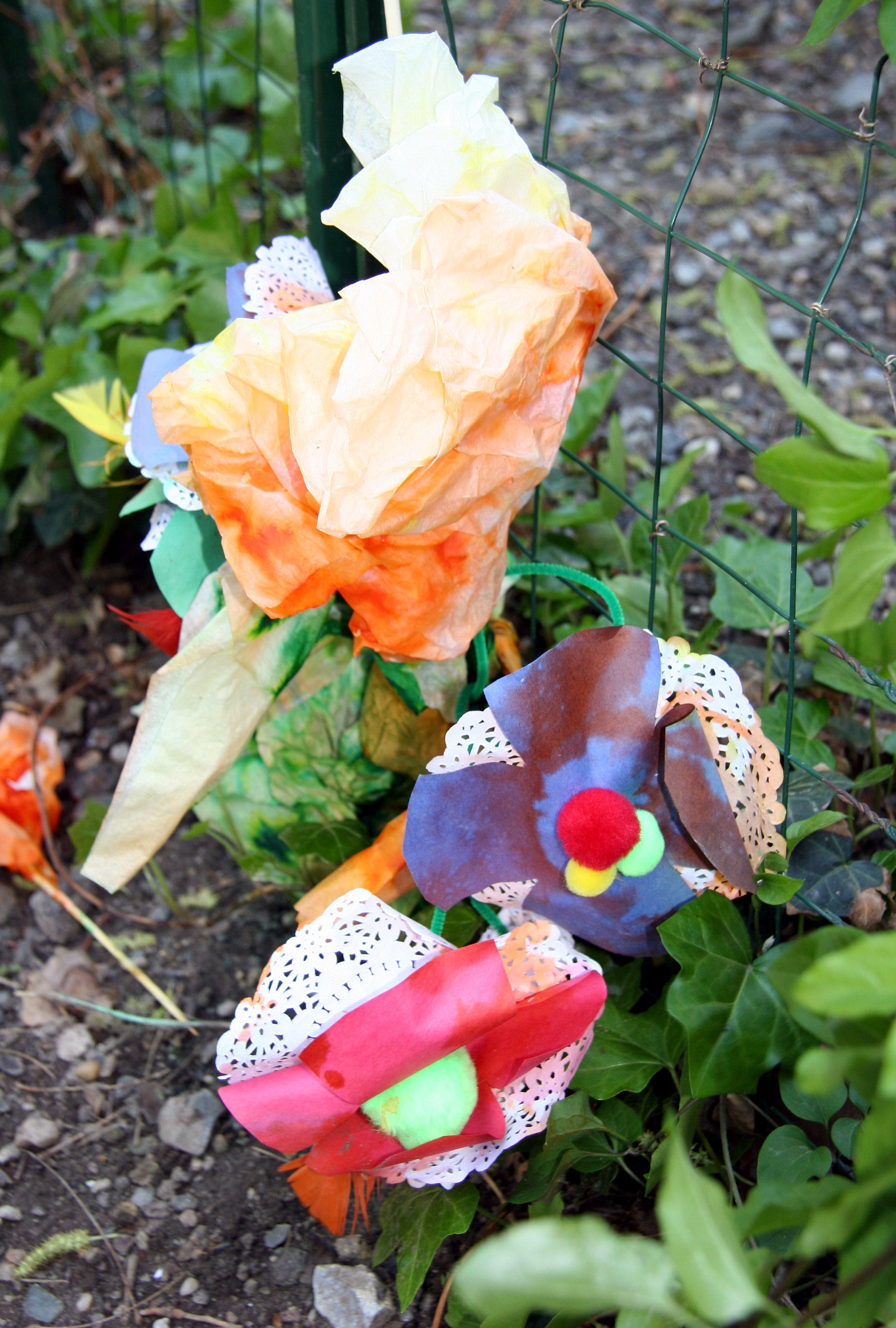 Childrens Garden Plot