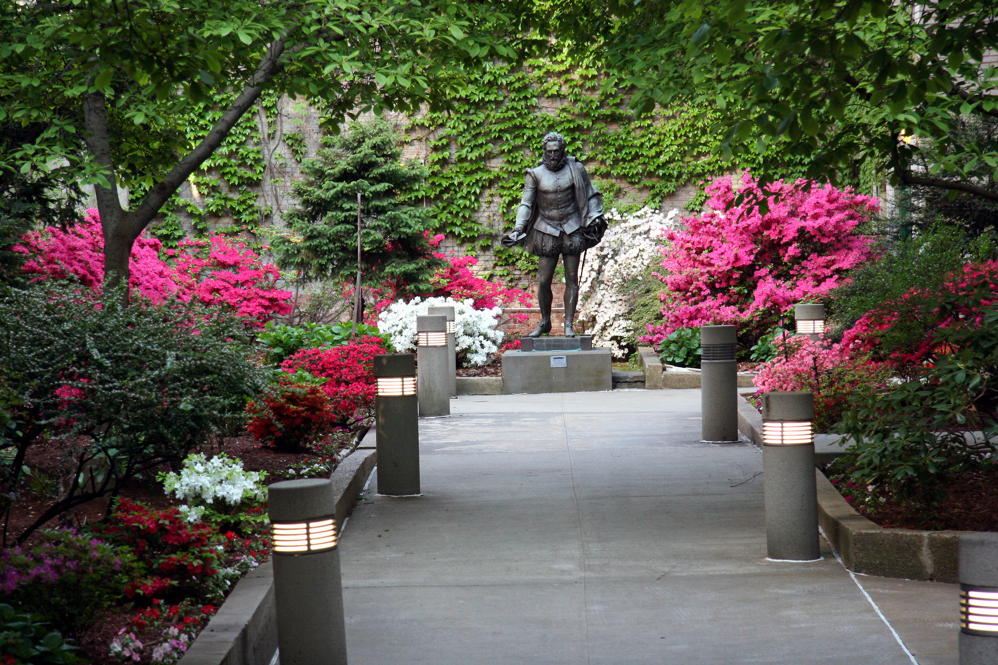 Azaleas in Cervantes Courtyard