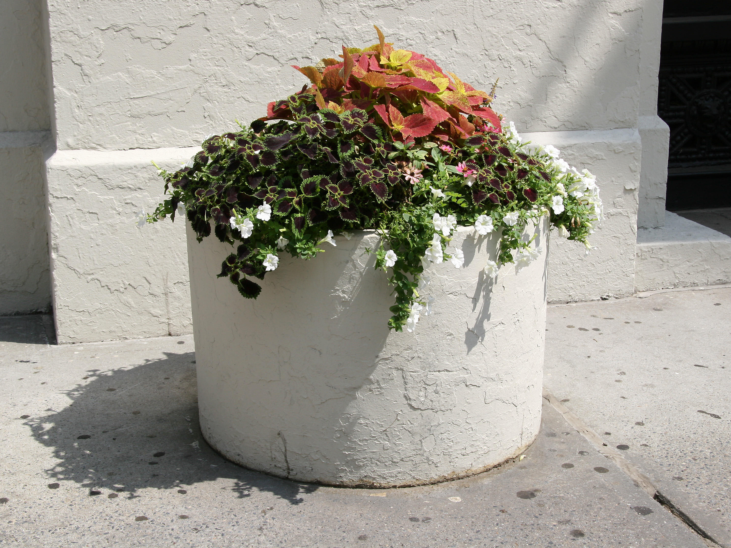 Sidewalk Garden Planter